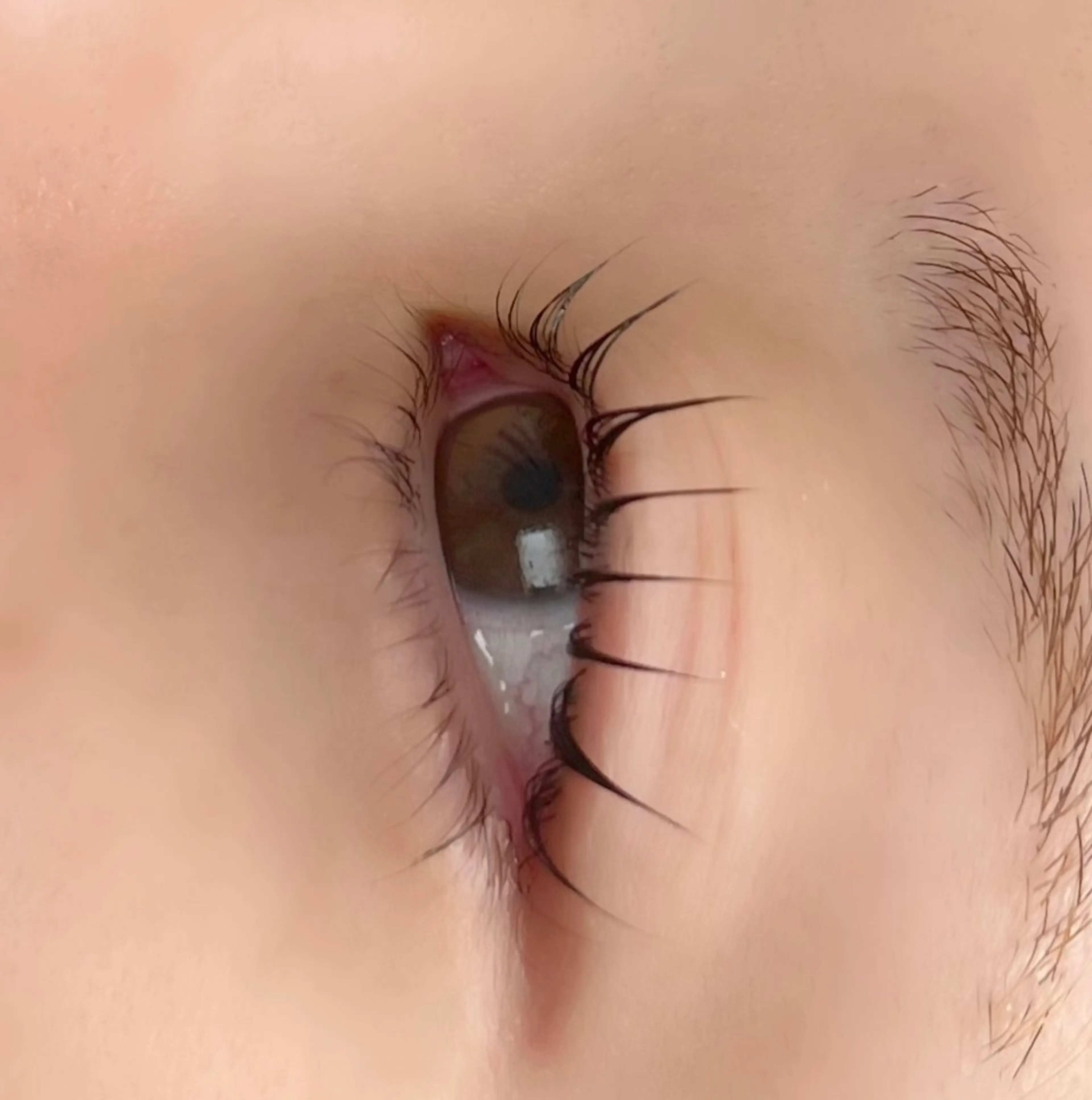 マツエク・マツパ 荻原 希蘭のマツエク・マツパデザイン