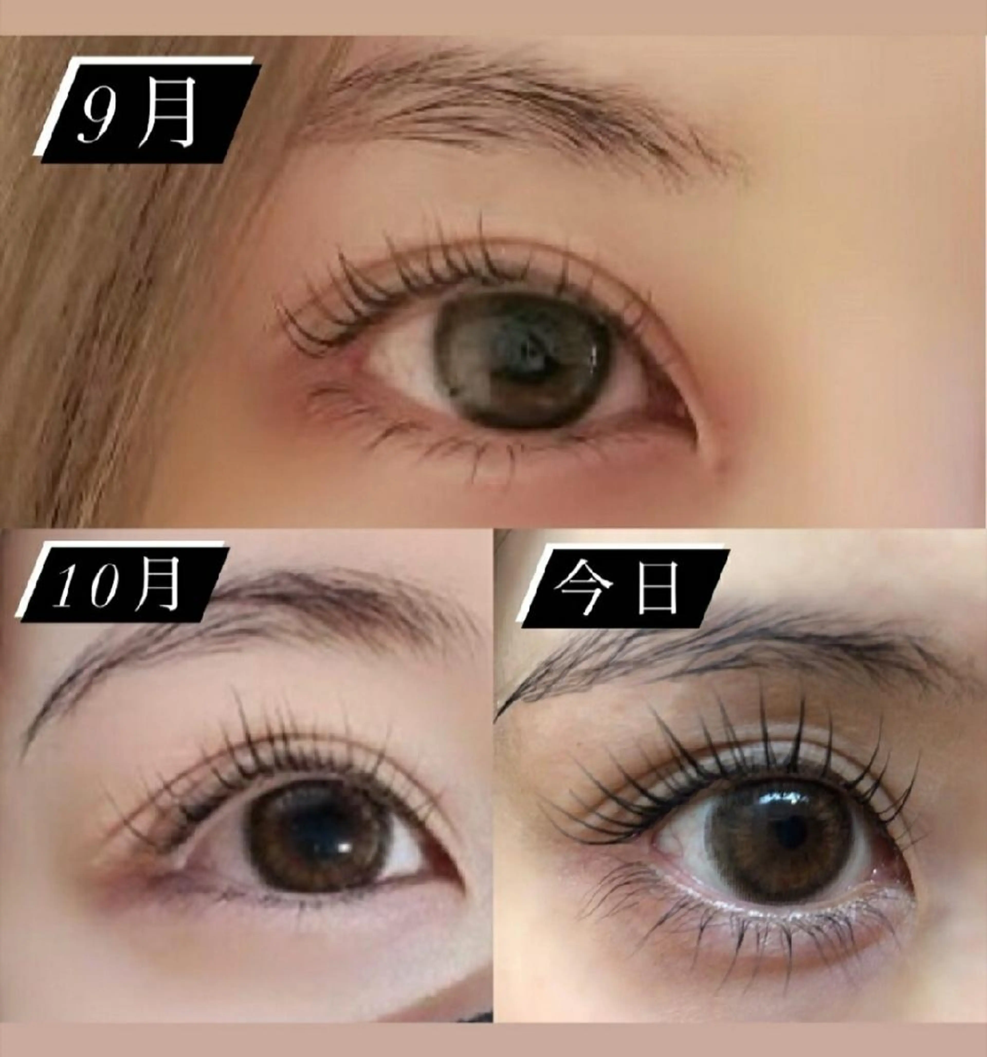 EMMA plus．のマツエク・マツパデザイン