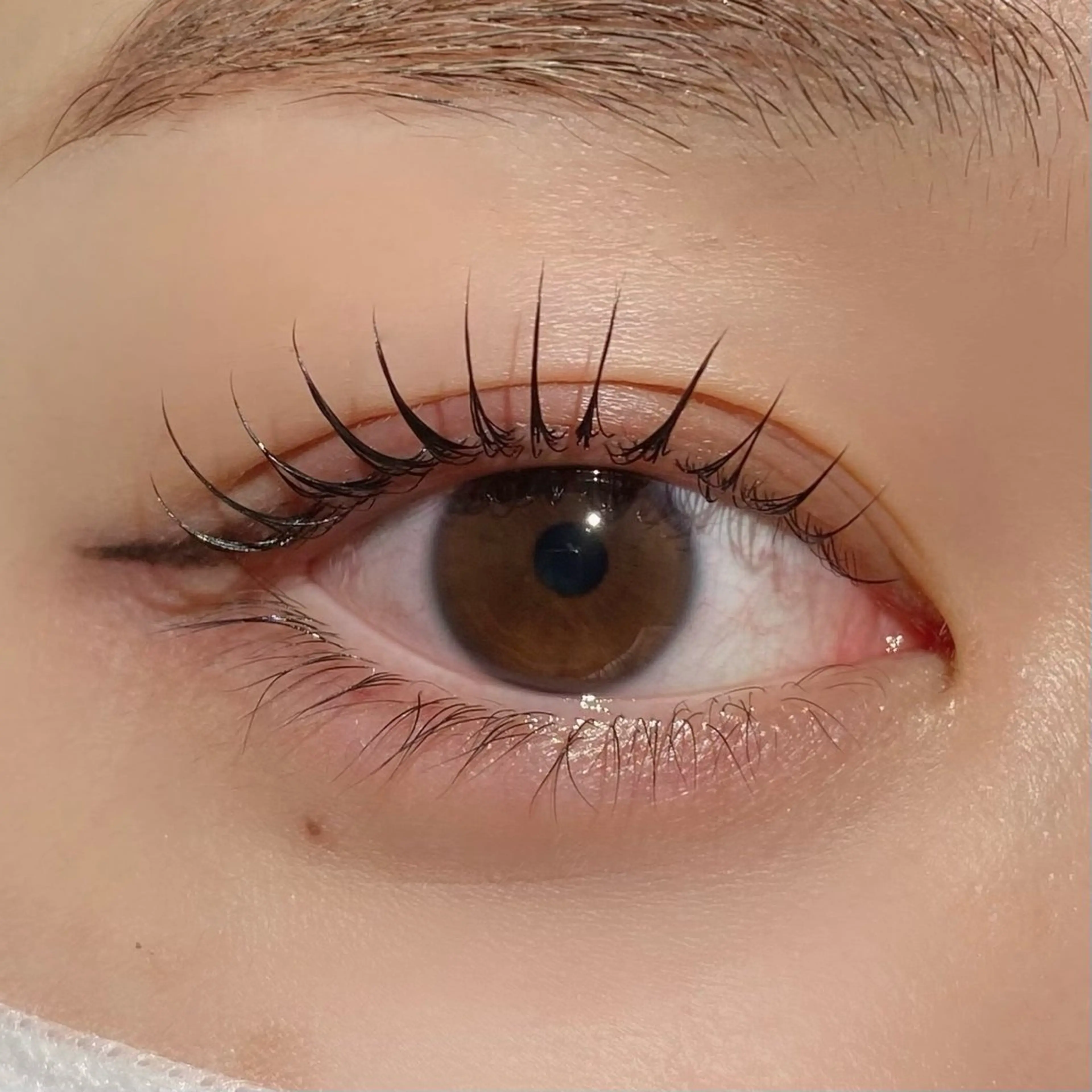 マツエク・マツパ KUON EYELASH SALON所属・miyu 🐈‍⬛の眉毛・アイブロウイメージ