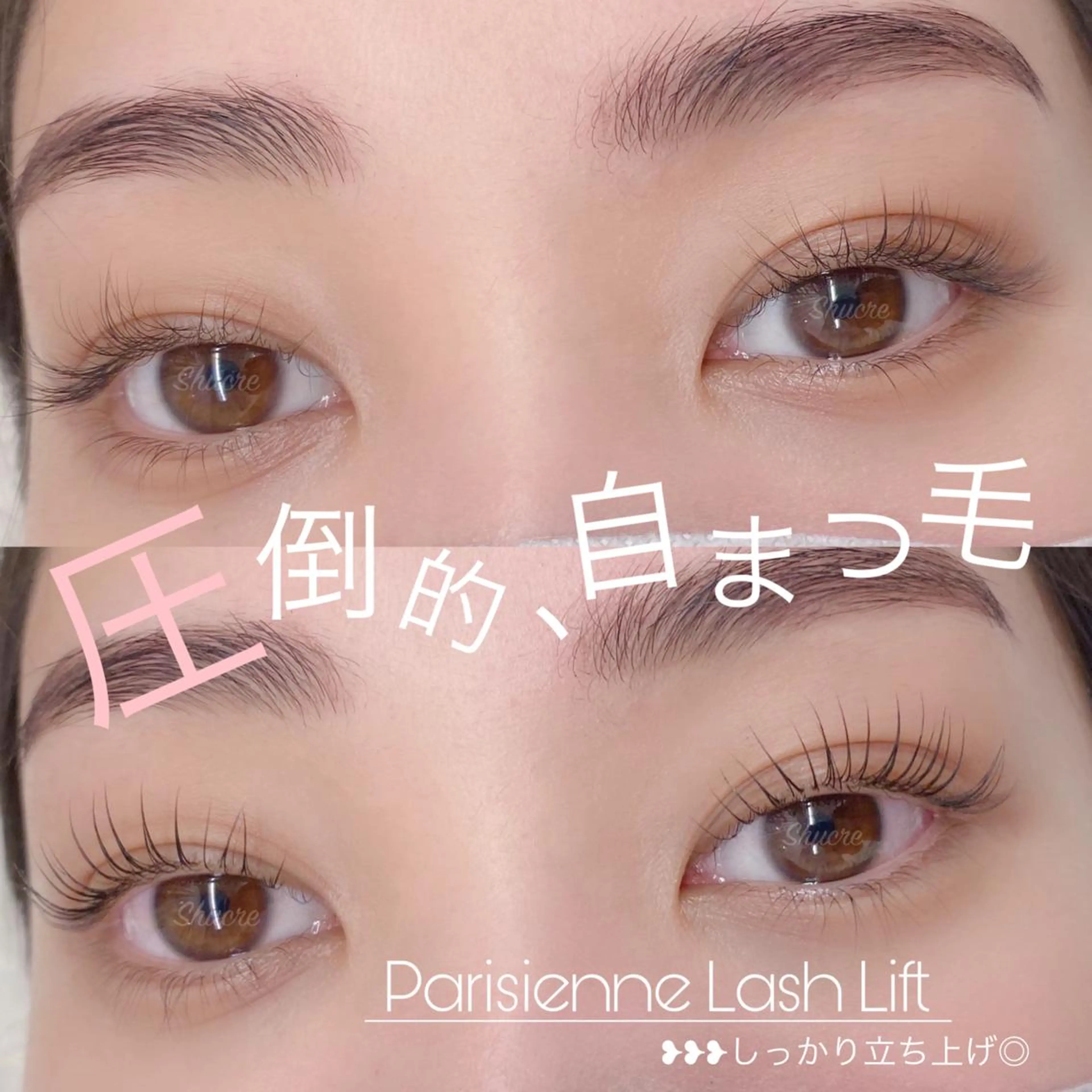 マツエク・マツパ Shucre栄店🤍 Rikaのマツエク・マツパデザイン