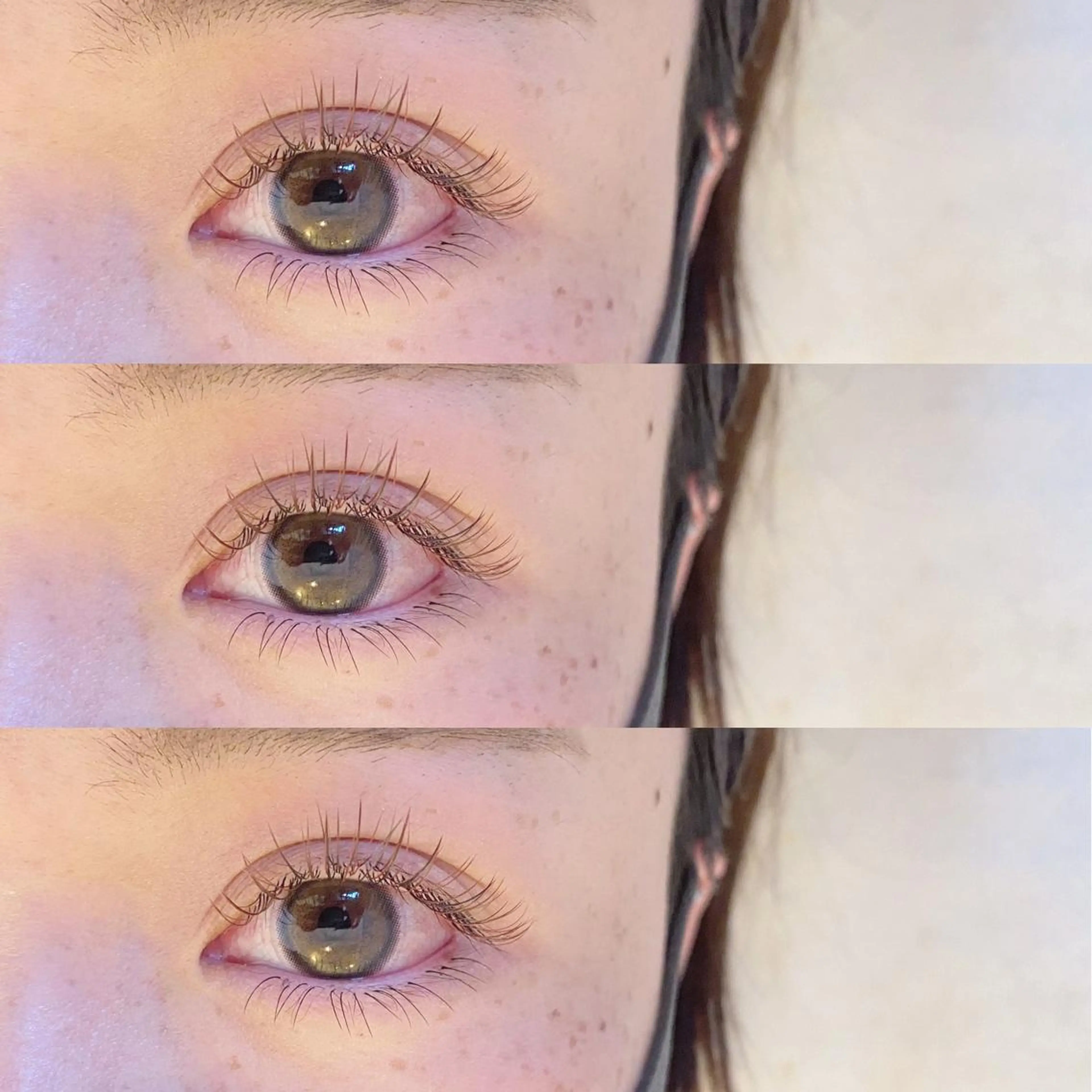 ６月限定🎀160本迄つけ放題（カラー/毛質選び放題/オフ込＊）¥5500の写真