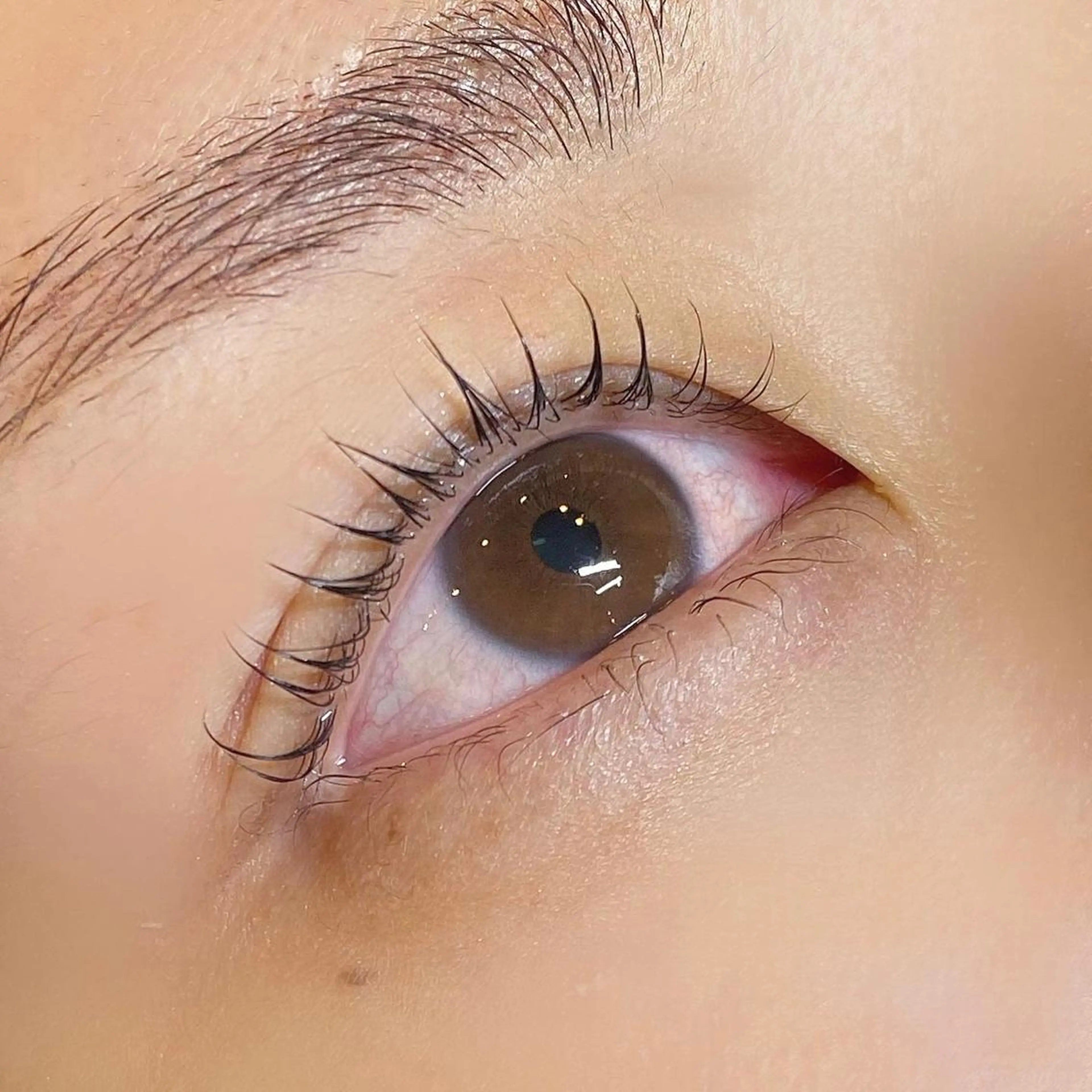 マツエク・マツパ Cカール 一重×まつ毛パーマ 🪽yoshino miku 🩵のマツエク・マツパデザイン