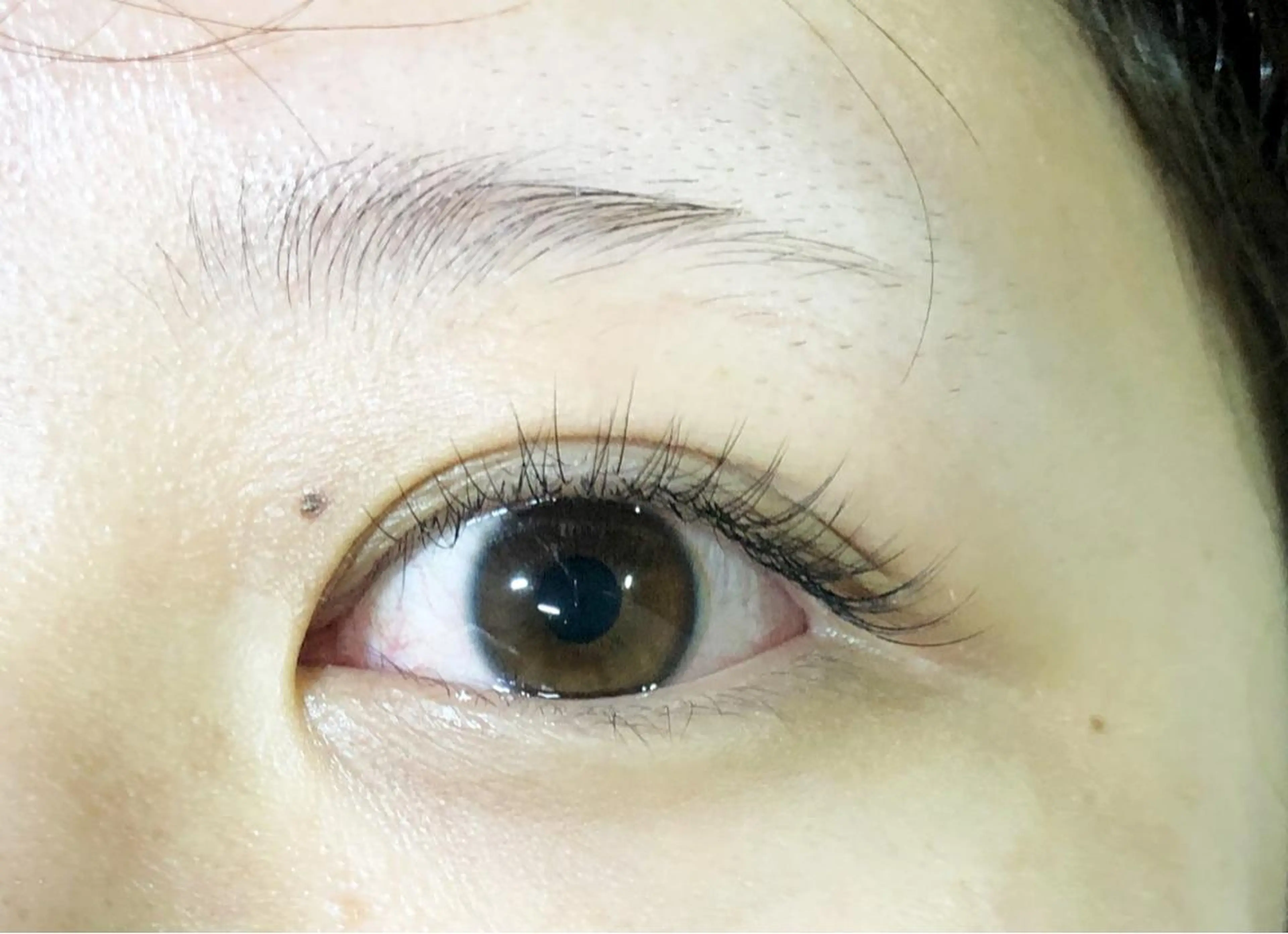 マツエク・マツパ セーブル Liliane所属・吉田 彩花のマツエク・マツパデザイン