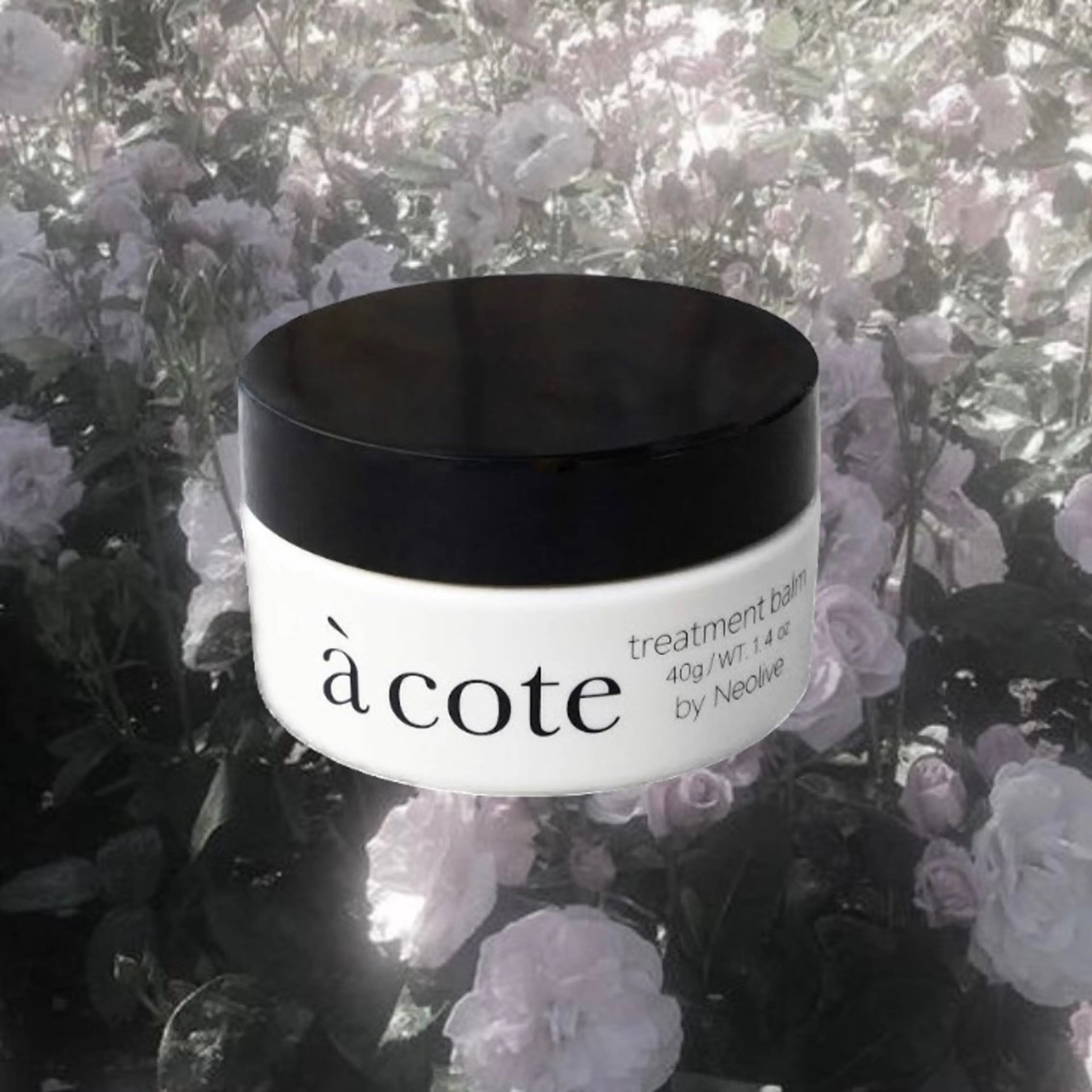 パーマ メンズ 🕊️透明感カラー/ 渋谷🕊️Aonaのヘアスタイル