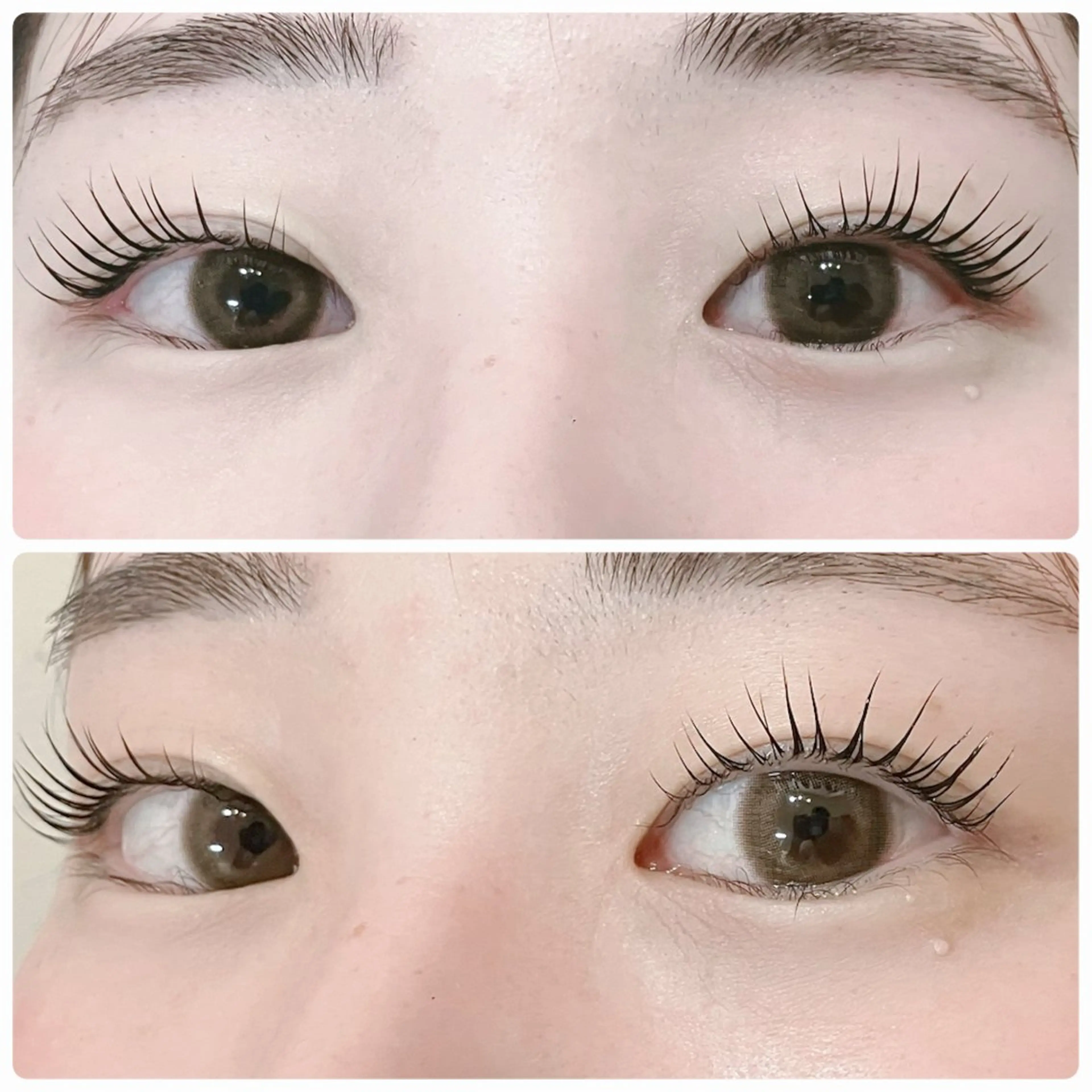 マツエク・マツパ マツパ 🦋LOARK eyelash.梶川のマツエク・マツパデザイン