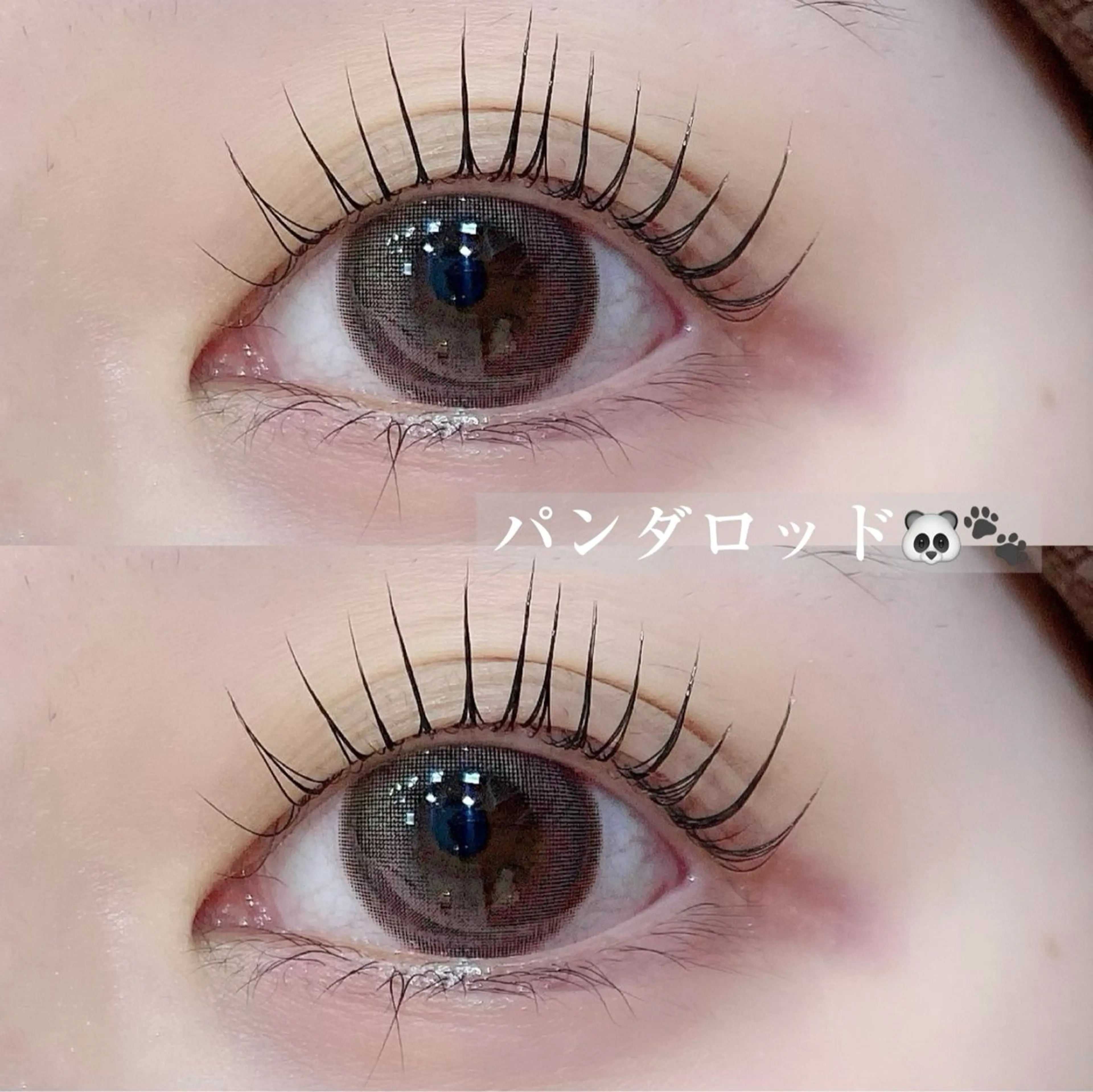 マツエク・マツパ マツパ アルターエクラ 飯島のマツエク・マツパデザイン