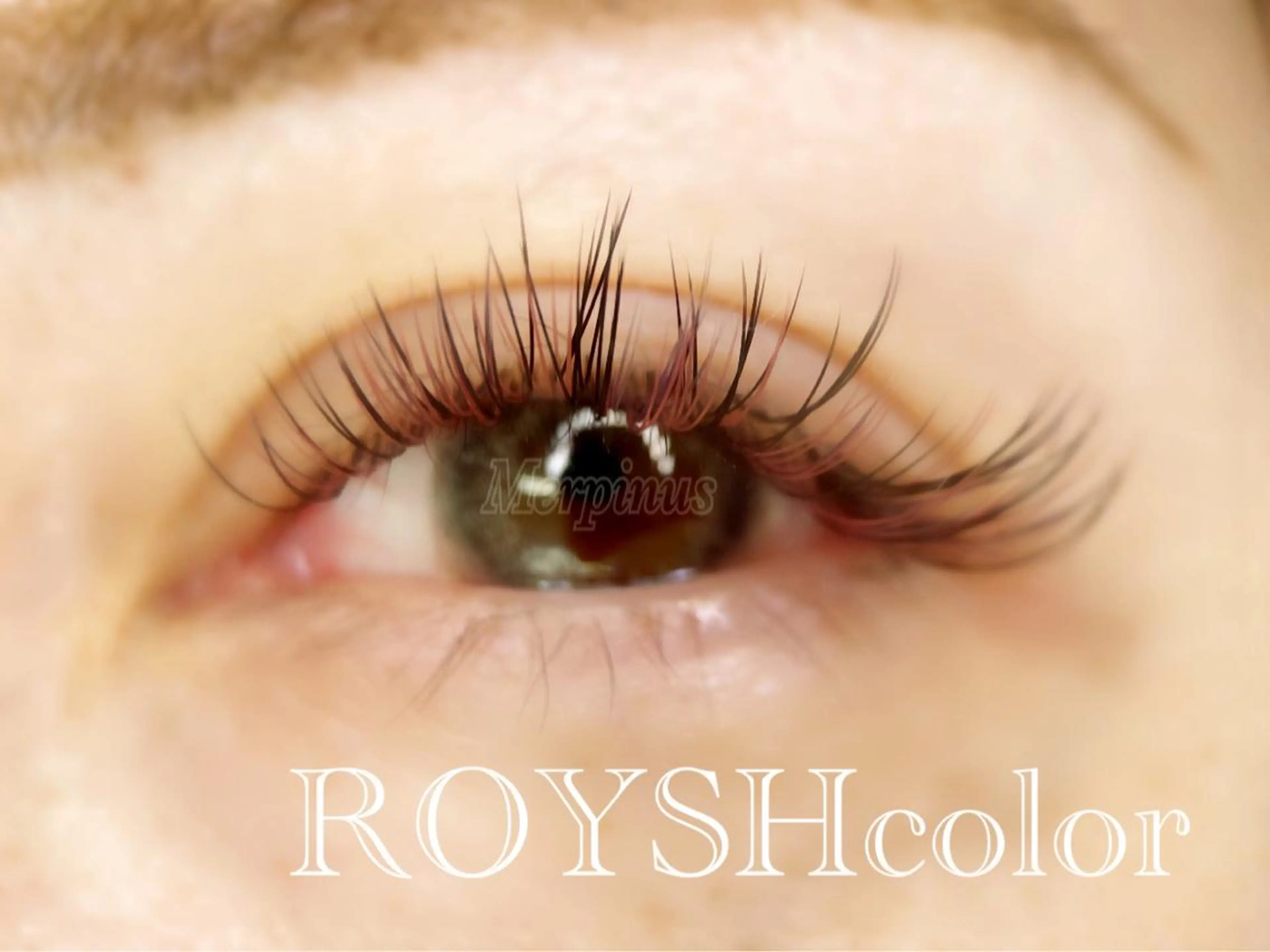 バインドロック100束の写真