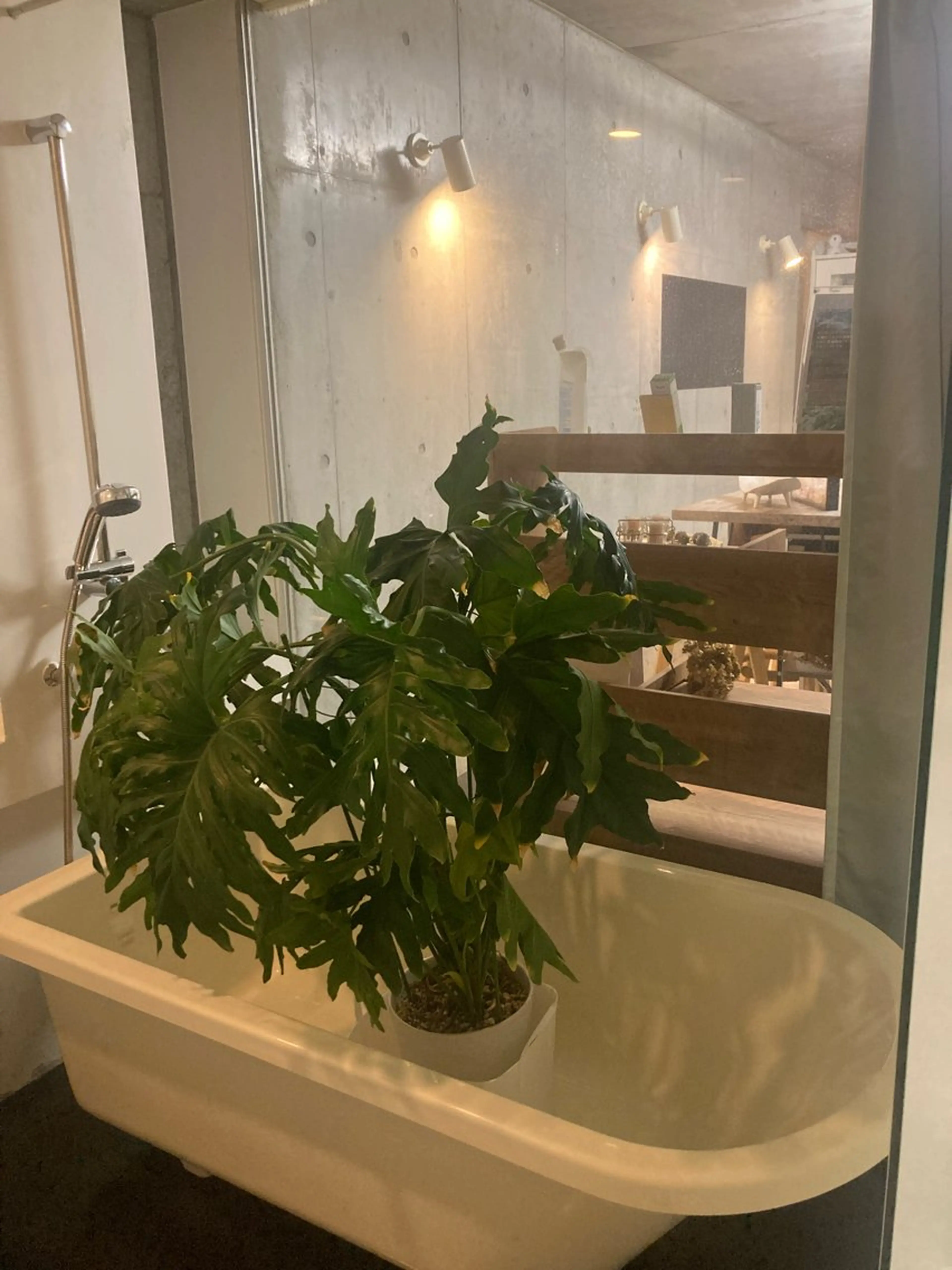 プライベートサロン アンルポのエステ・リラクイメージ