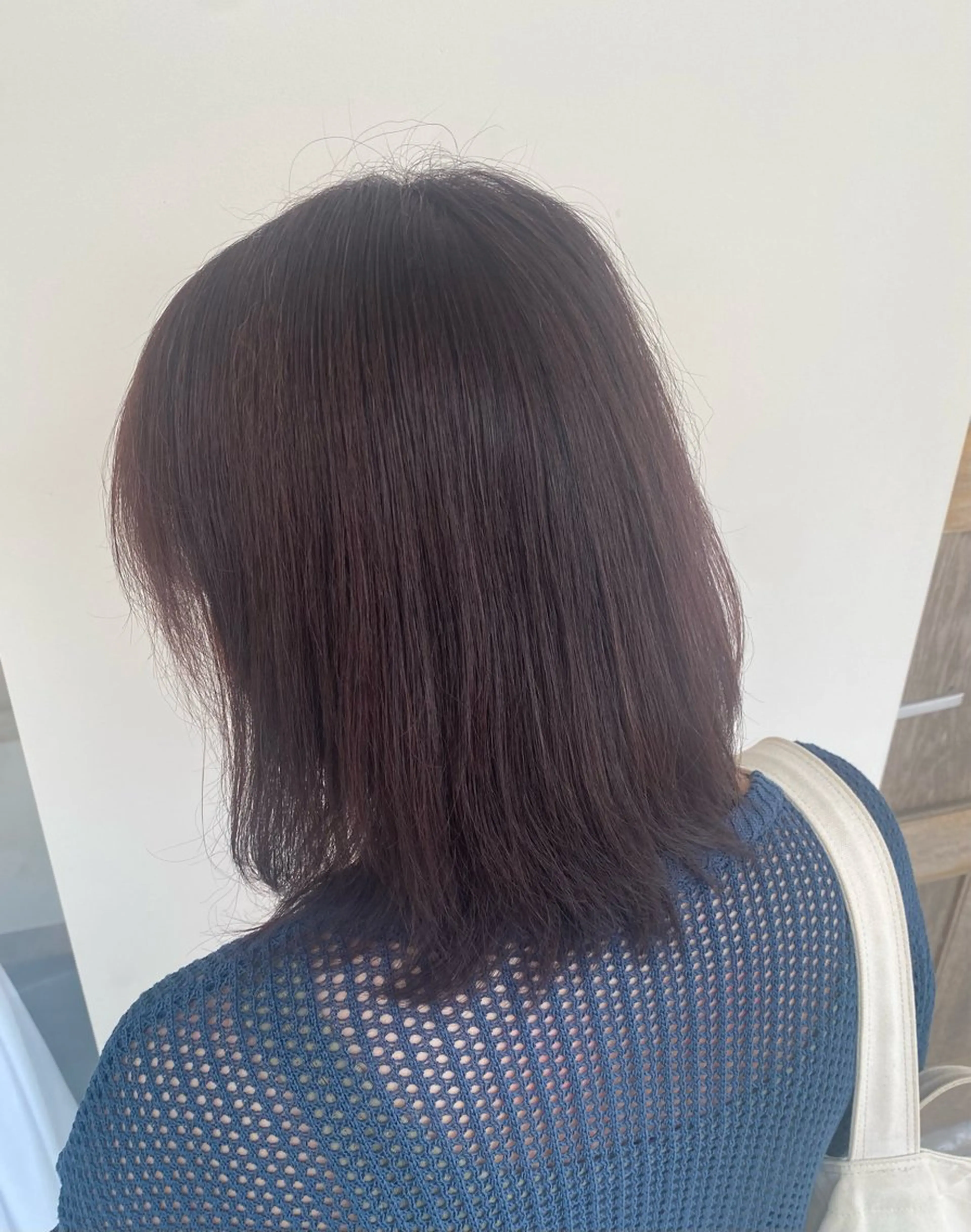 カラー（全体）の写真