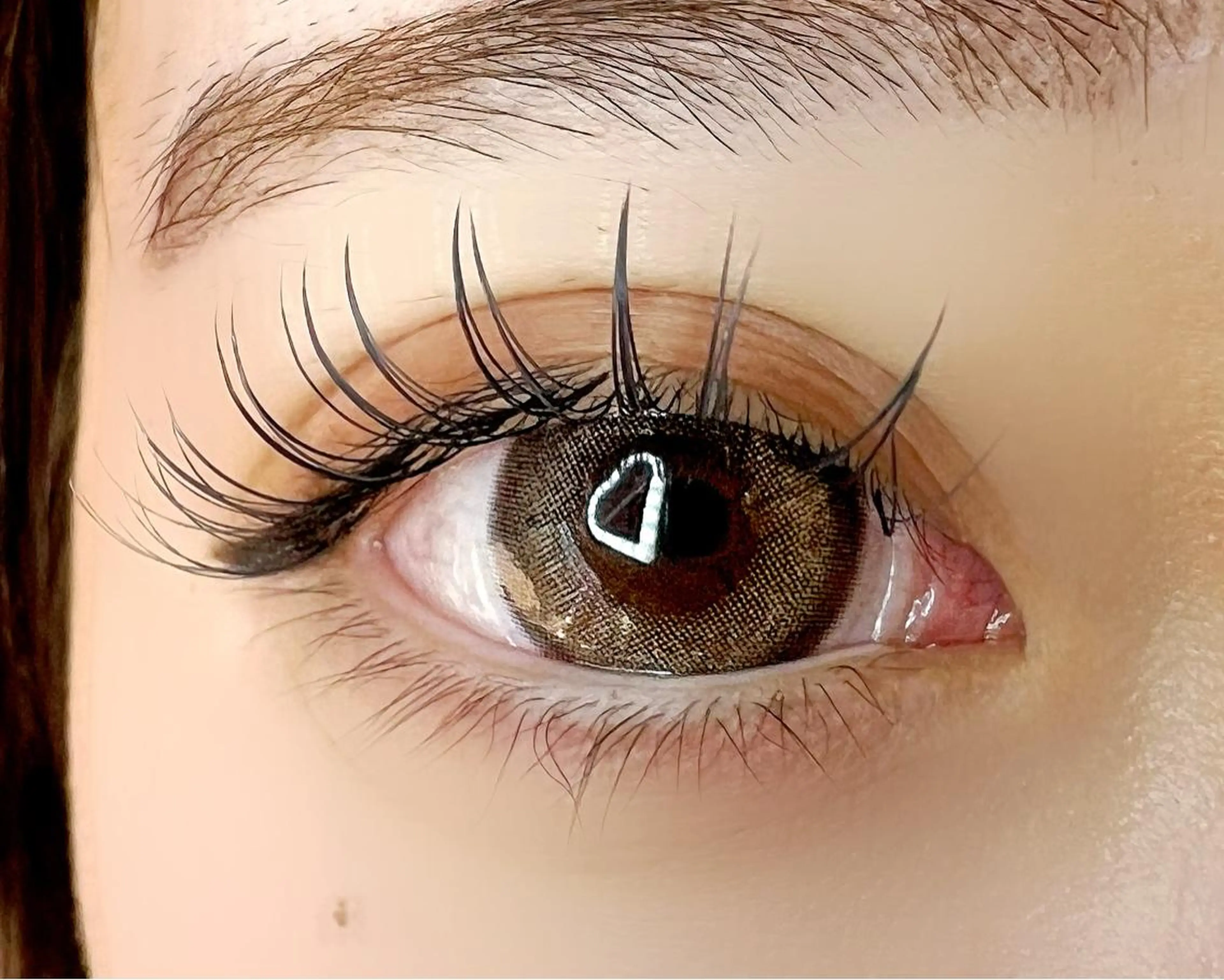 マツエク・マツパ マツエク Celeste Venus所属・🧸Celeste Venusのマツエク・マツパデザイン