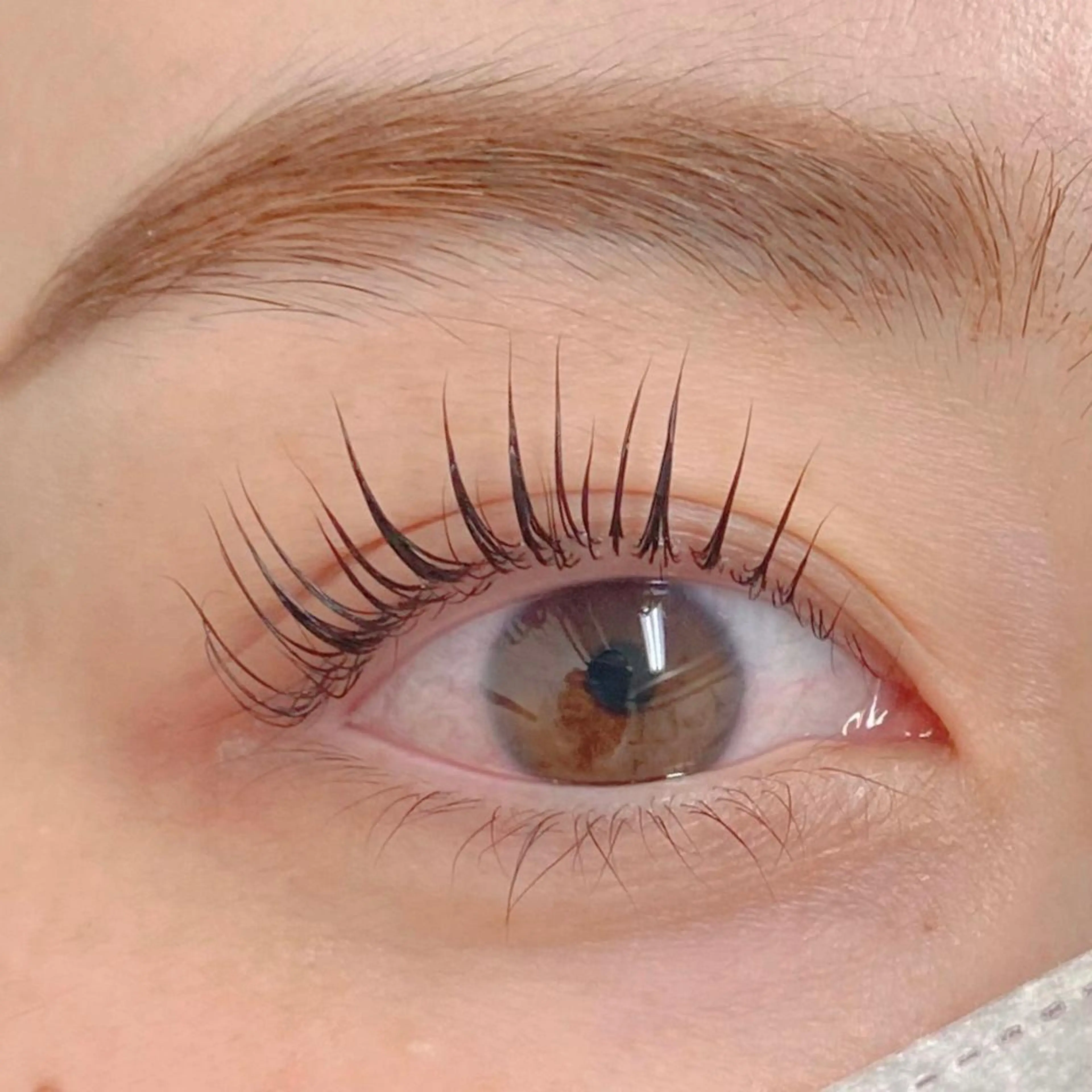 【平日限定】まつげパーマ上¥4800→¥4400 ※所要時間50分の写真