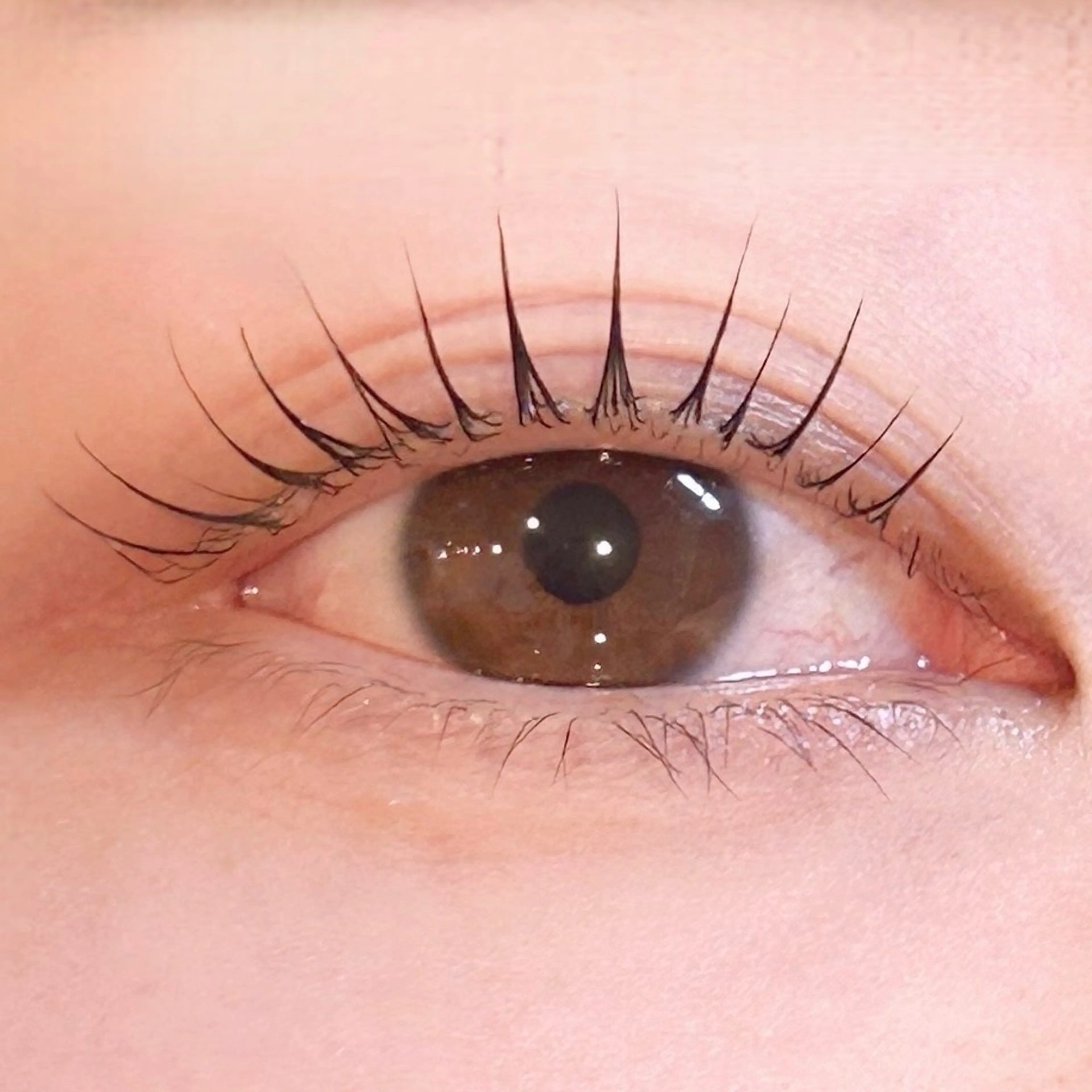 パリジェンヌ 【武蔵浦和/北戸田/戸田】の写真