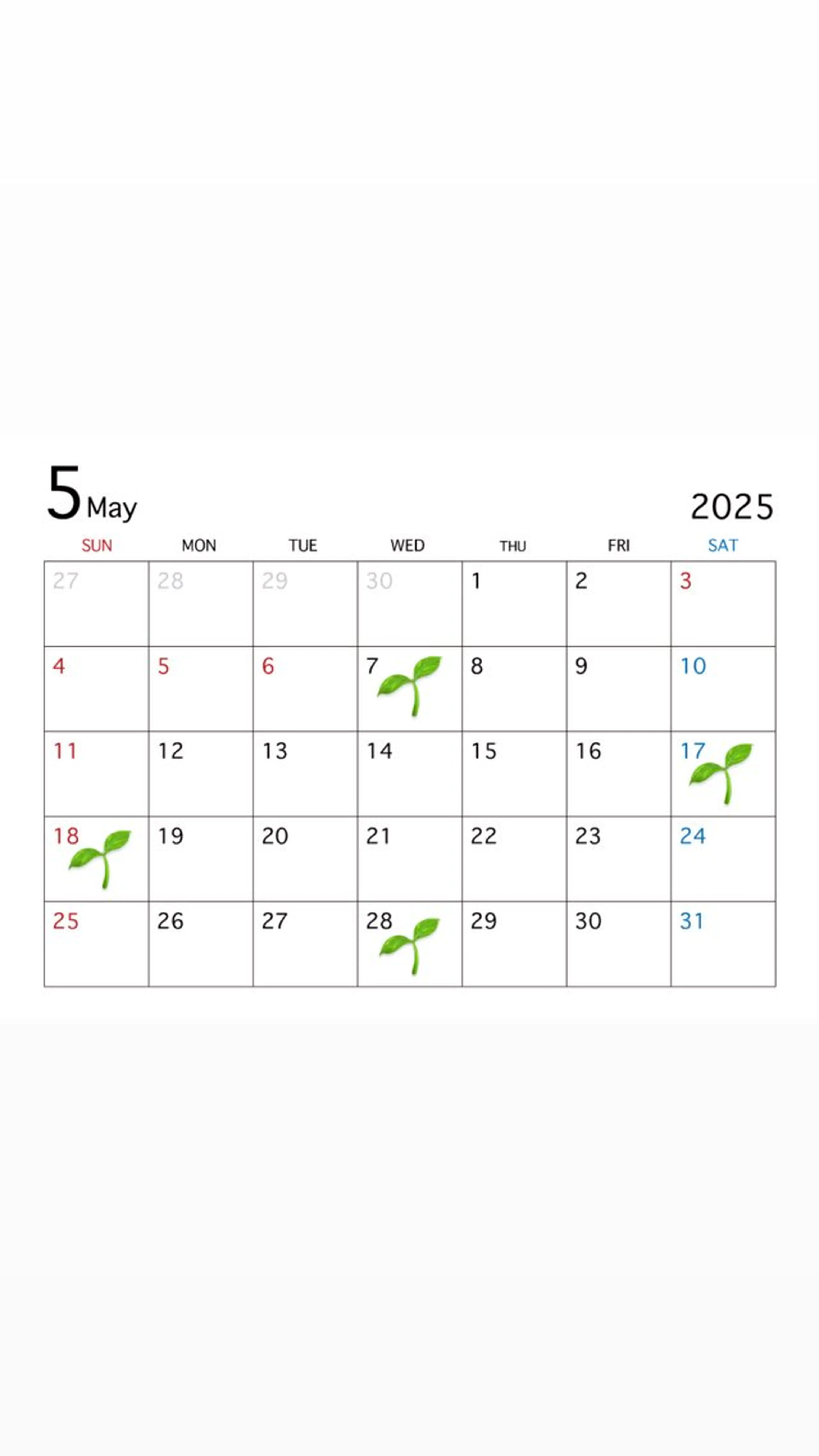 ネイル sii eyelash  センター北所属・siiセンター北 YURIのネイルデザイン