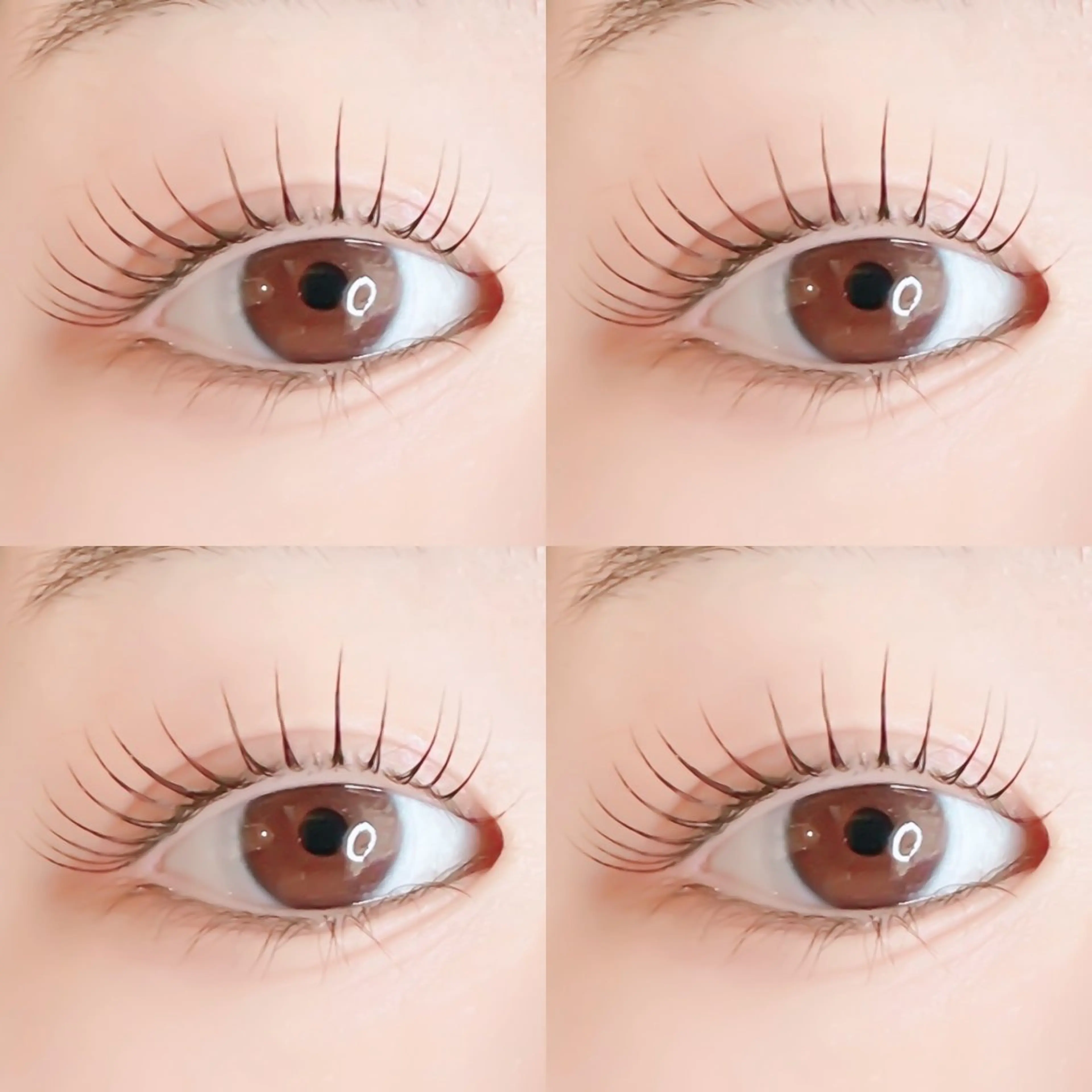 マツエク・マツパ miho【吉祥寺】 ★プライベートサロンのマツエク・マツパデザイン