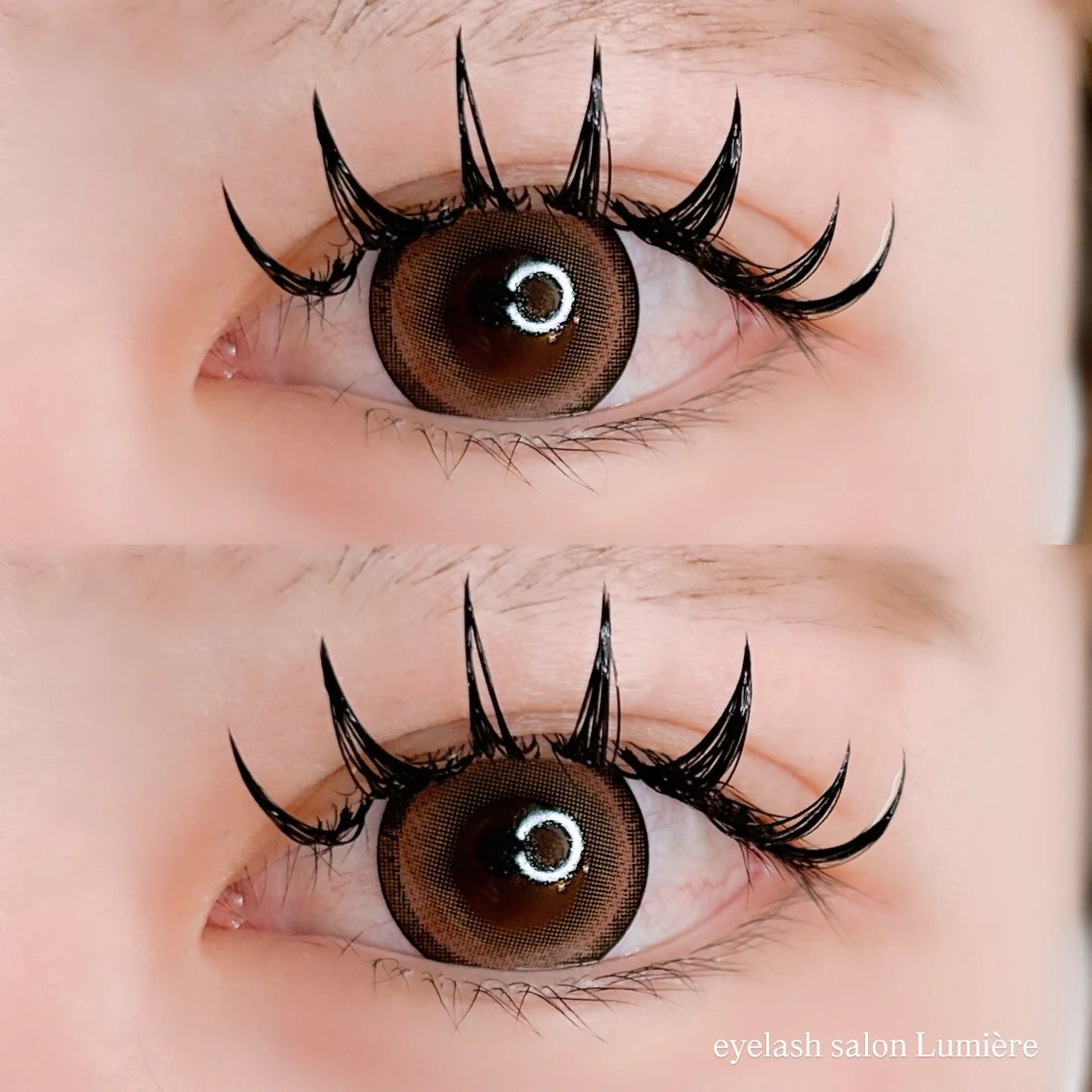 学割𝗨𝟮𝟰🌼初回オフ無料/当店人気🫶🏻ダブルラッシュ100束🩷濃さ・モチUP✨の写真