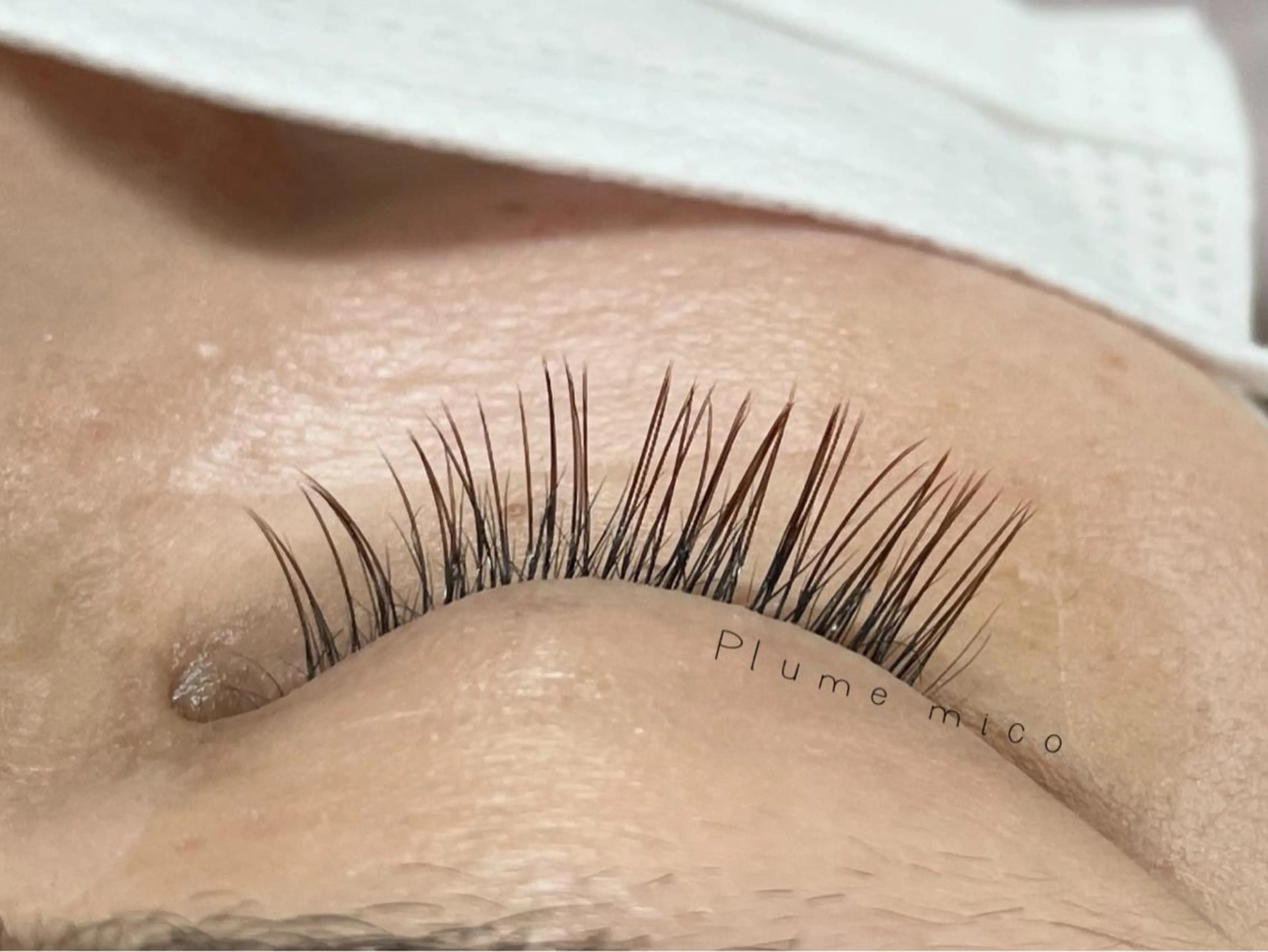 マツエク・マツパ マツエク Plume micoのマツエク・マツパデザイン