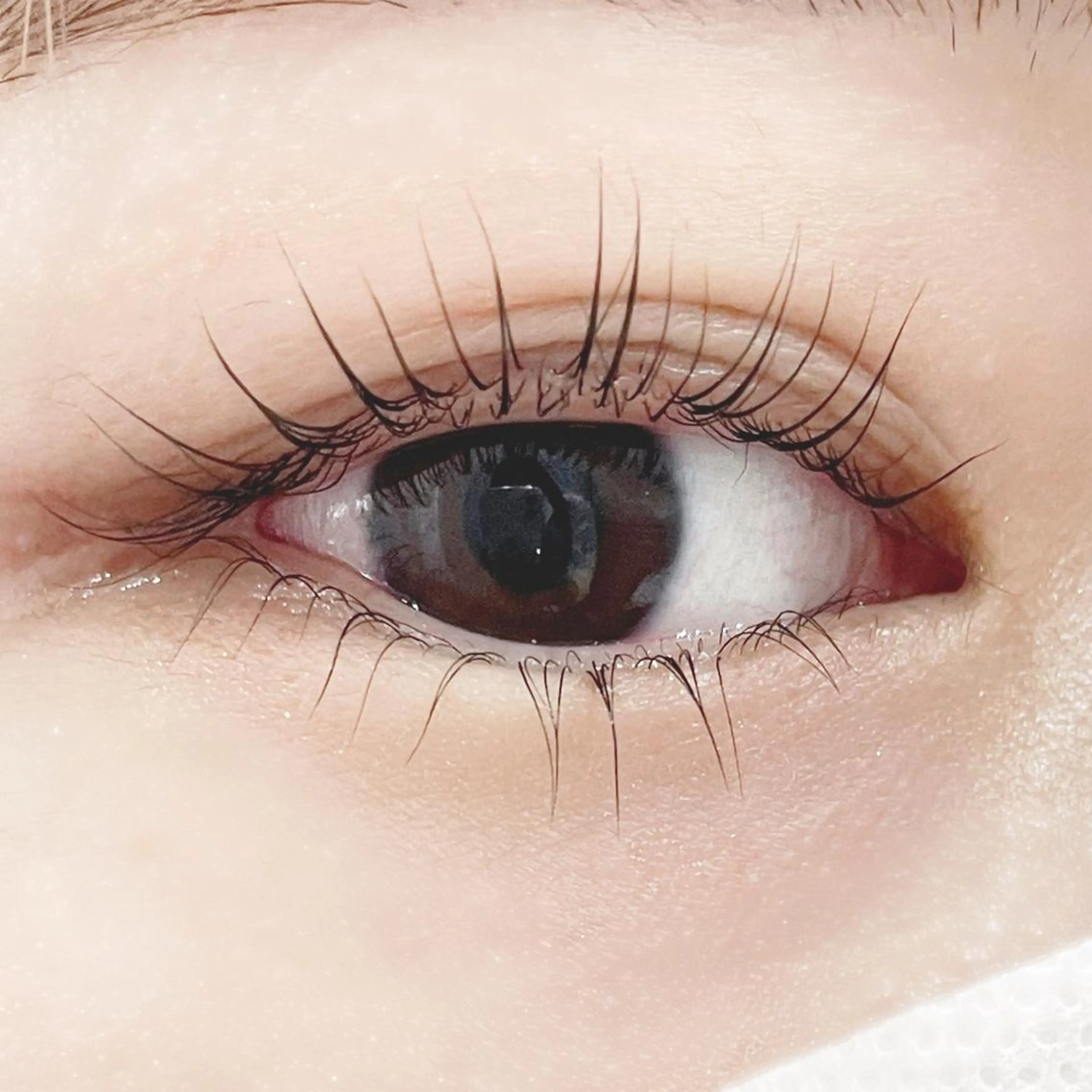 マツエク・マツパ eyelash  salon meme'所属・齋藤 友美のマツエク・マツパデザイン