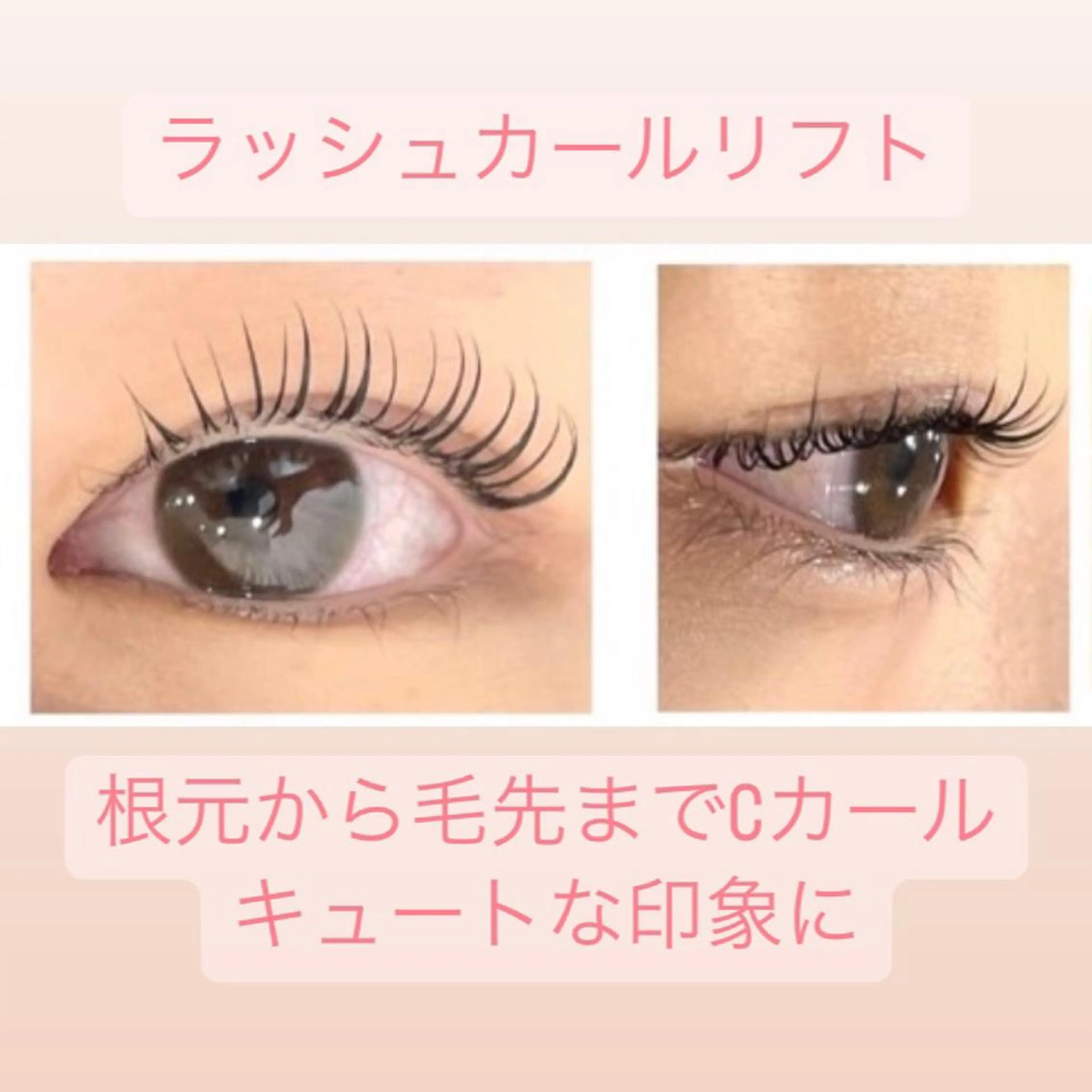 マツエク・マツパ 一重×まつ毛パーマ マリーテレジア🩶 KAWATAの眉毛・アイブロウイメージ