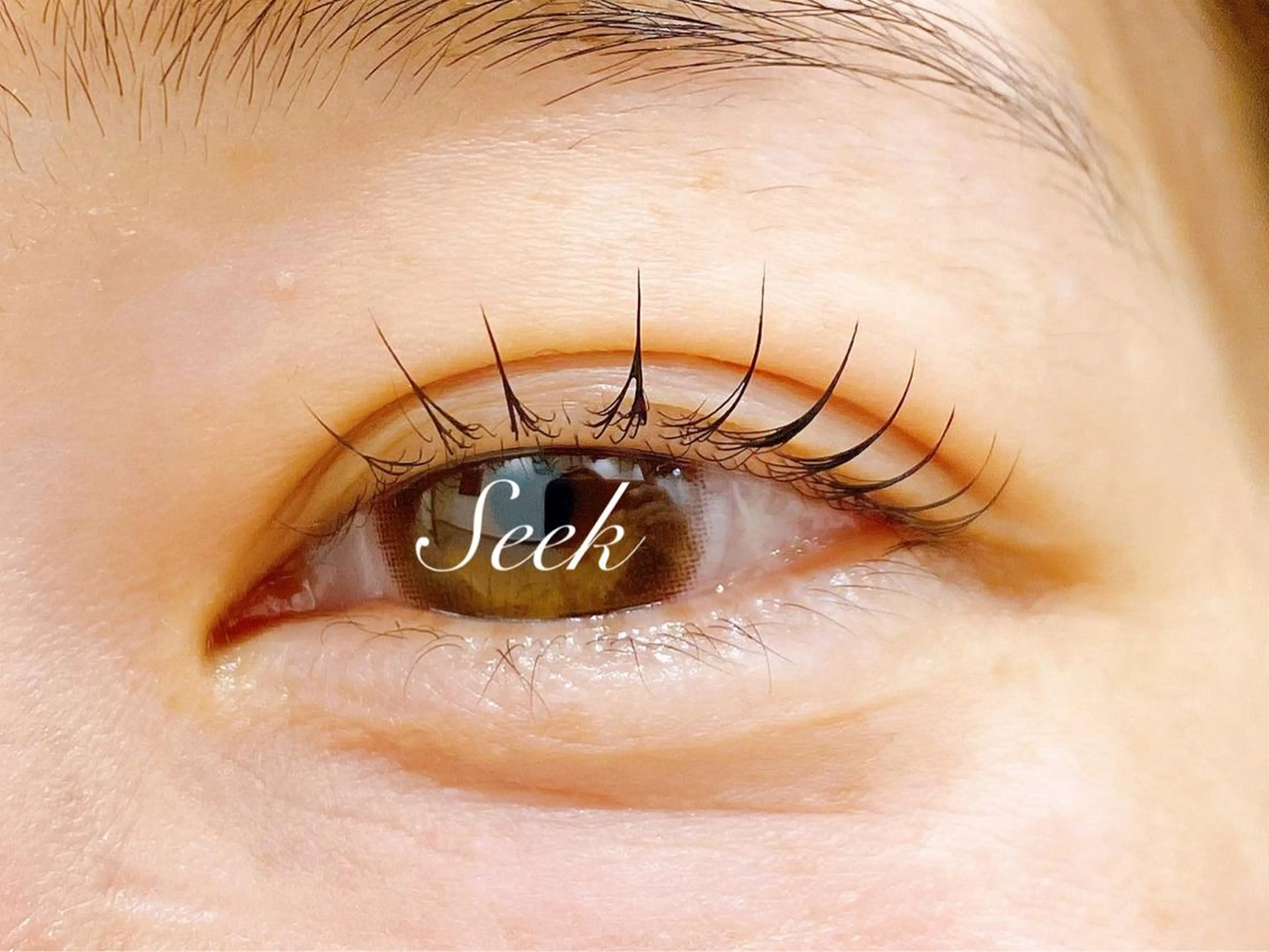 マツエク・マツパ マツパ Seek lash&browのエステ・リラクイメージ