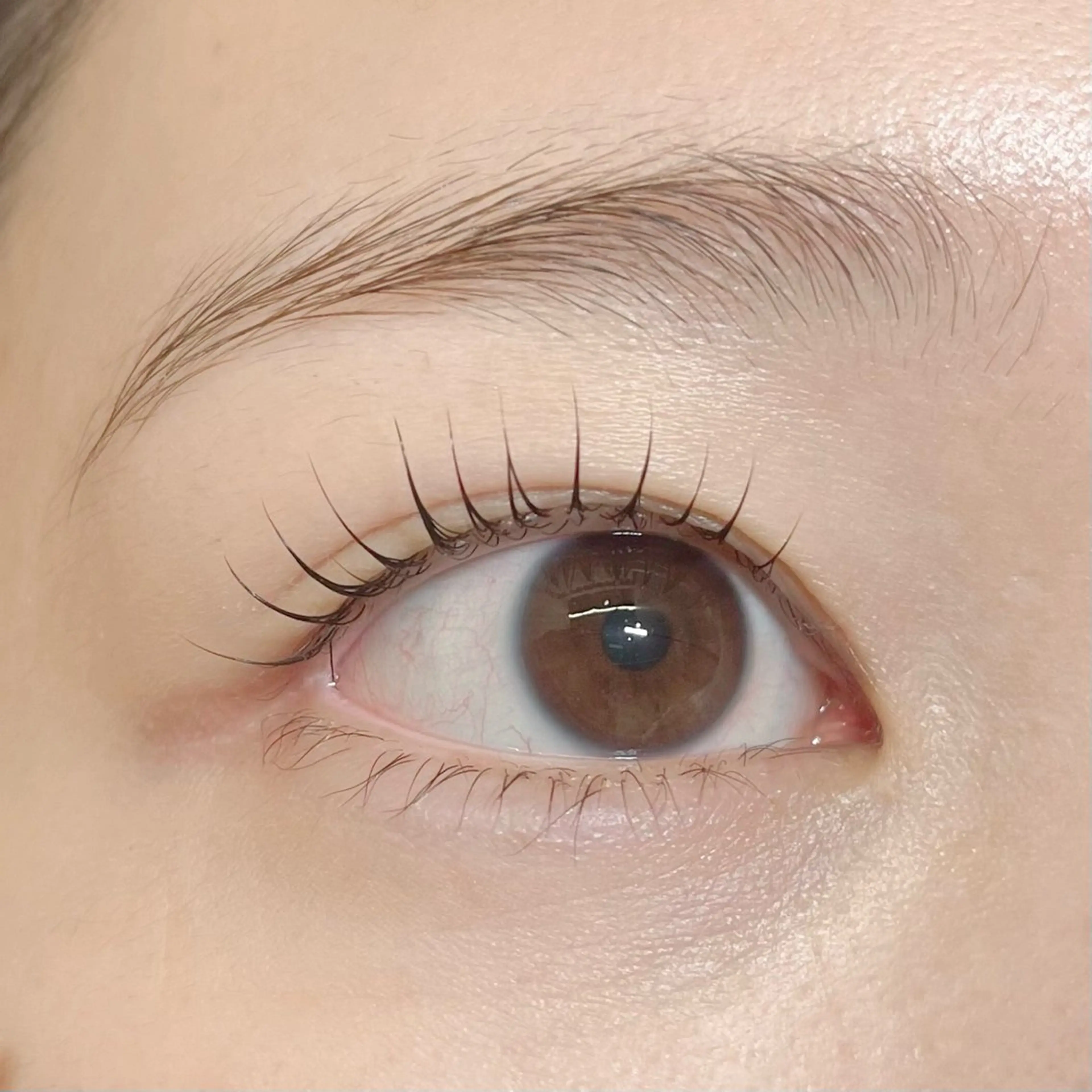 マツエク・マツパ マツパ COCO 大黒のマツエク・マツパデザイン