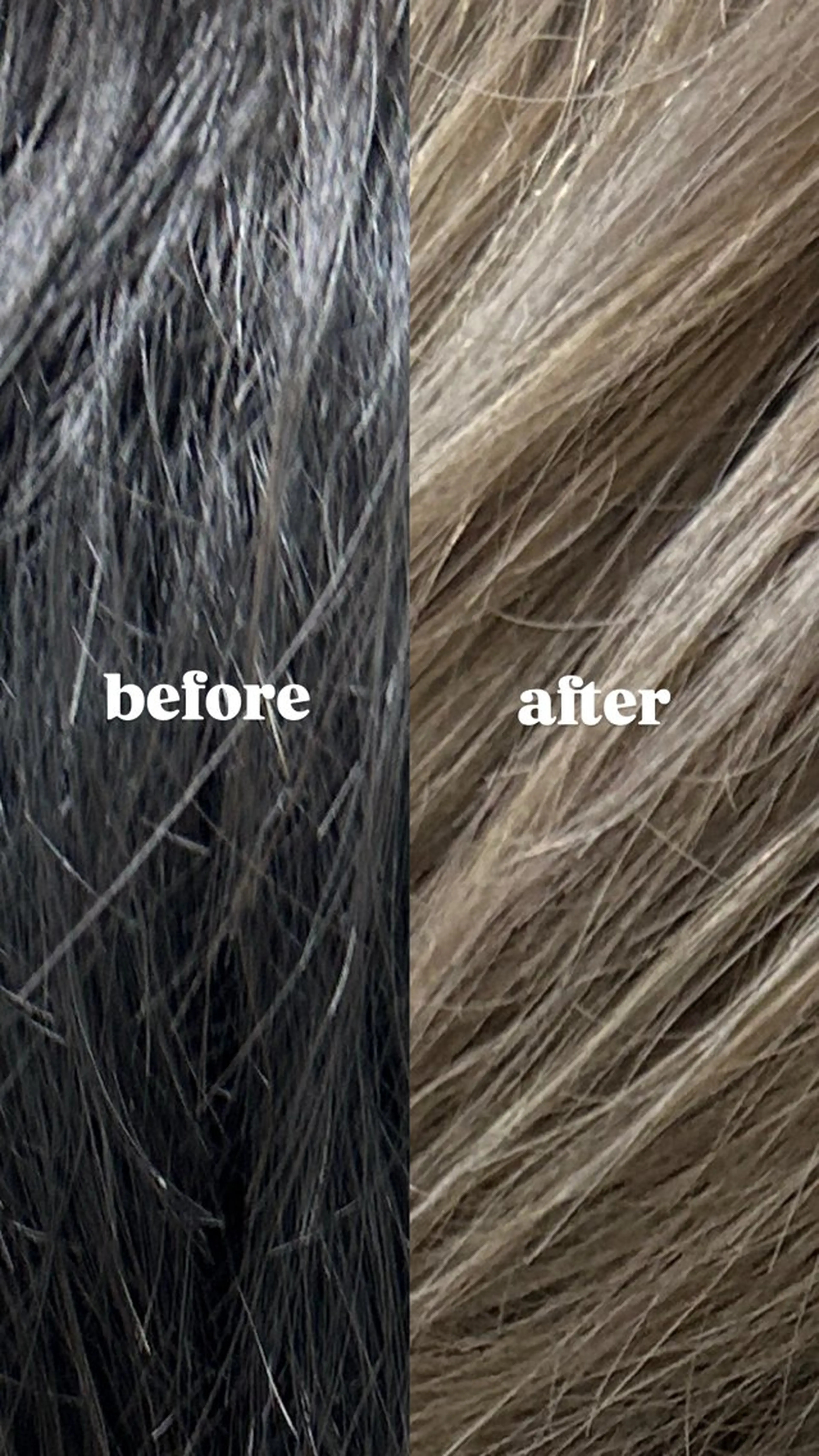 カラー 🫧✨今村 光希✨🫧のヘアスタイル