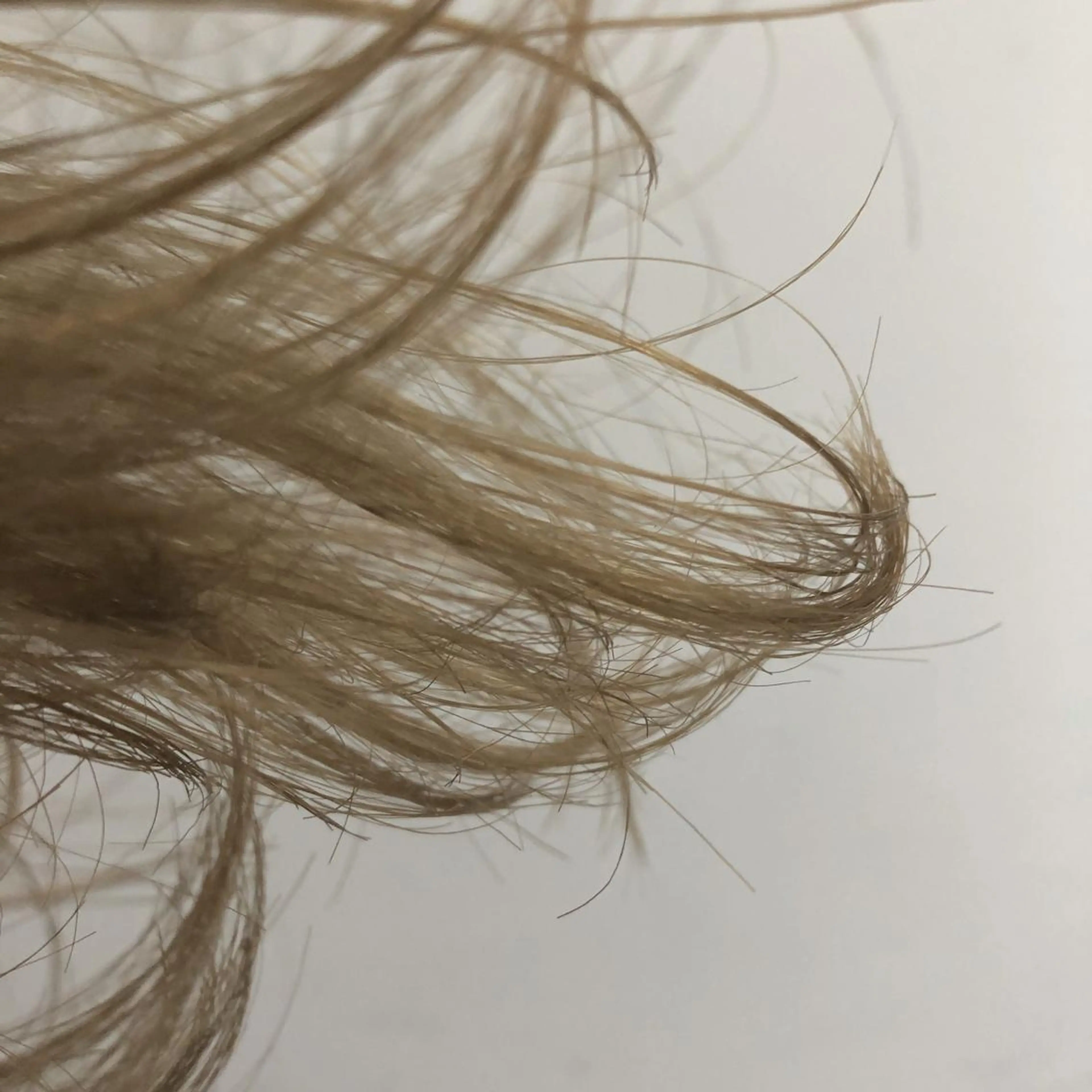 セミロング カラー Tao所属・藤川 大智のヘアスタイル