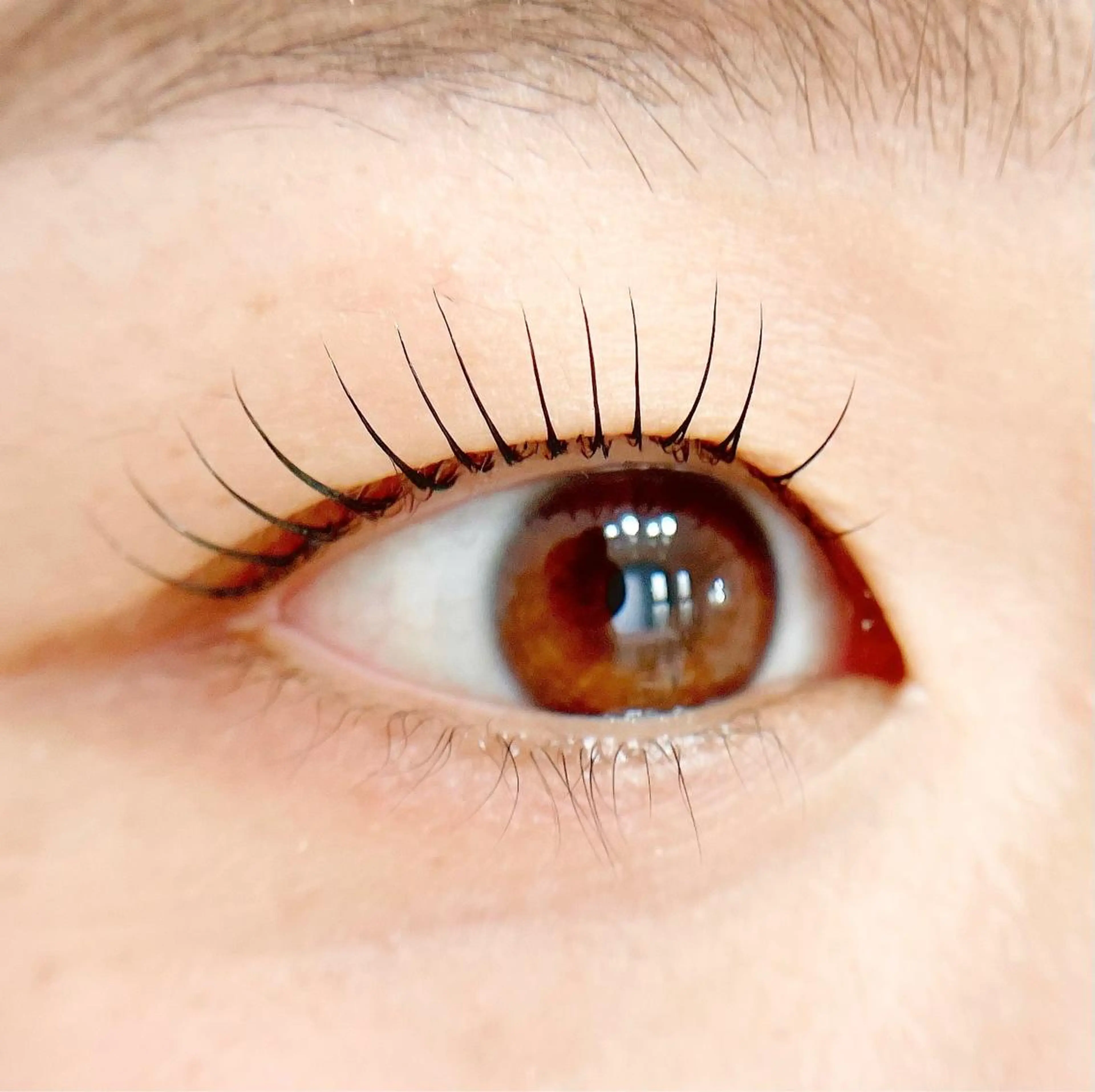 マツエク・マツパ ant_u🌷 arisaのマツエク・マツパデザイン