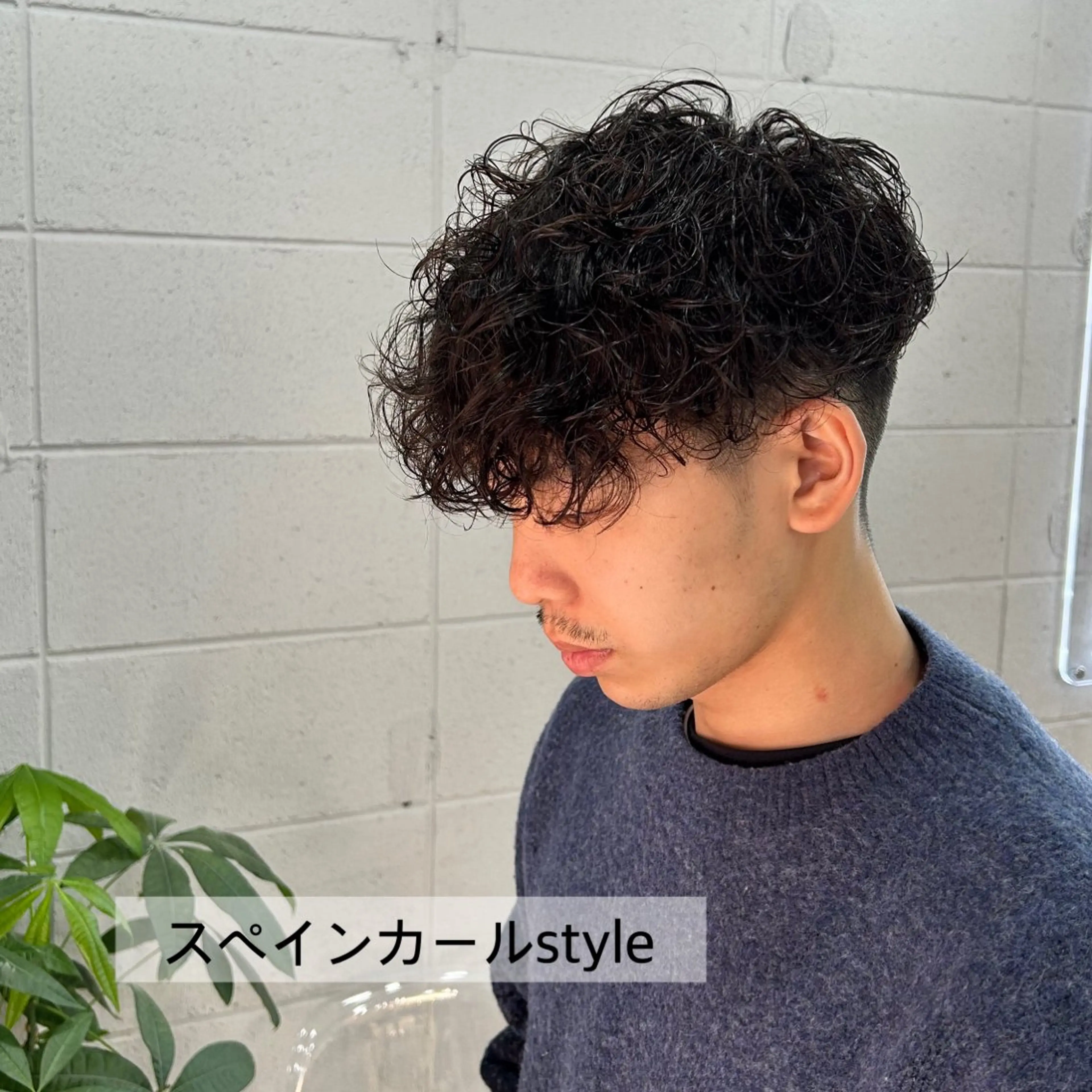 ショート メンズ フェードカット スペインカール 天王寺/メンズパーマ /フェード/河本かほのヘアスタイル