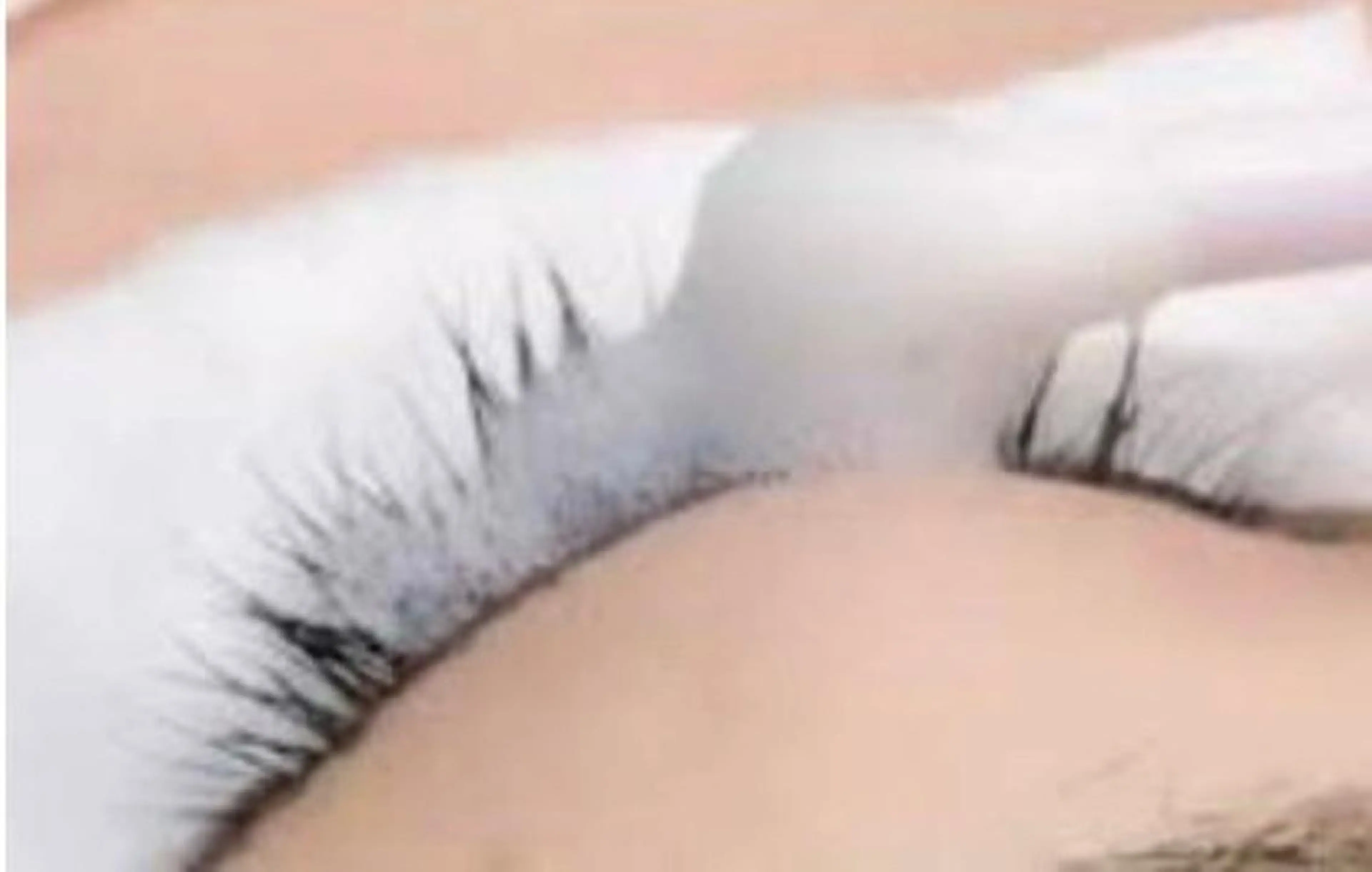 アイシャンプーの写真