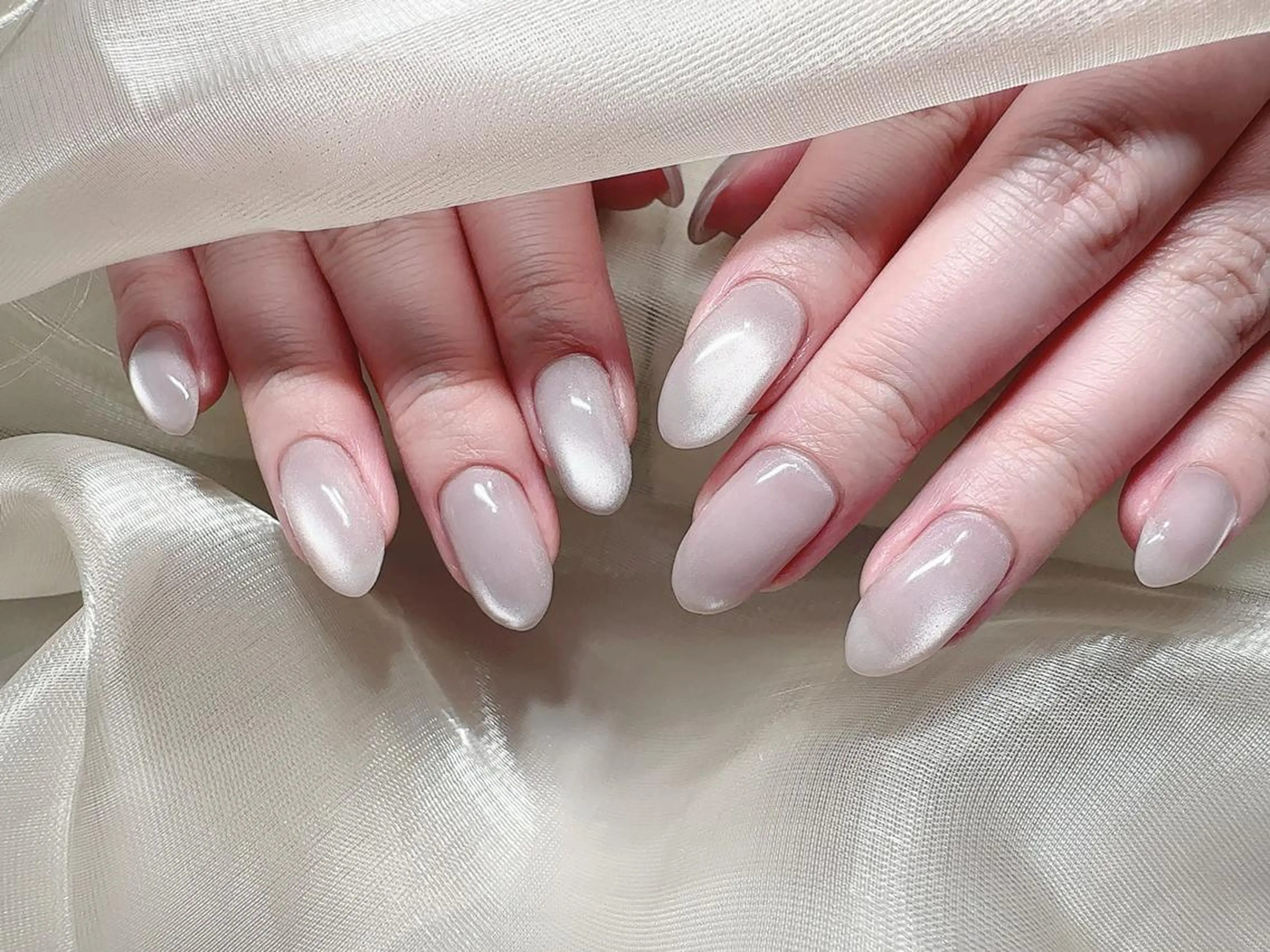 🐶minimo限定 マグネットネイル　オフ有の写真