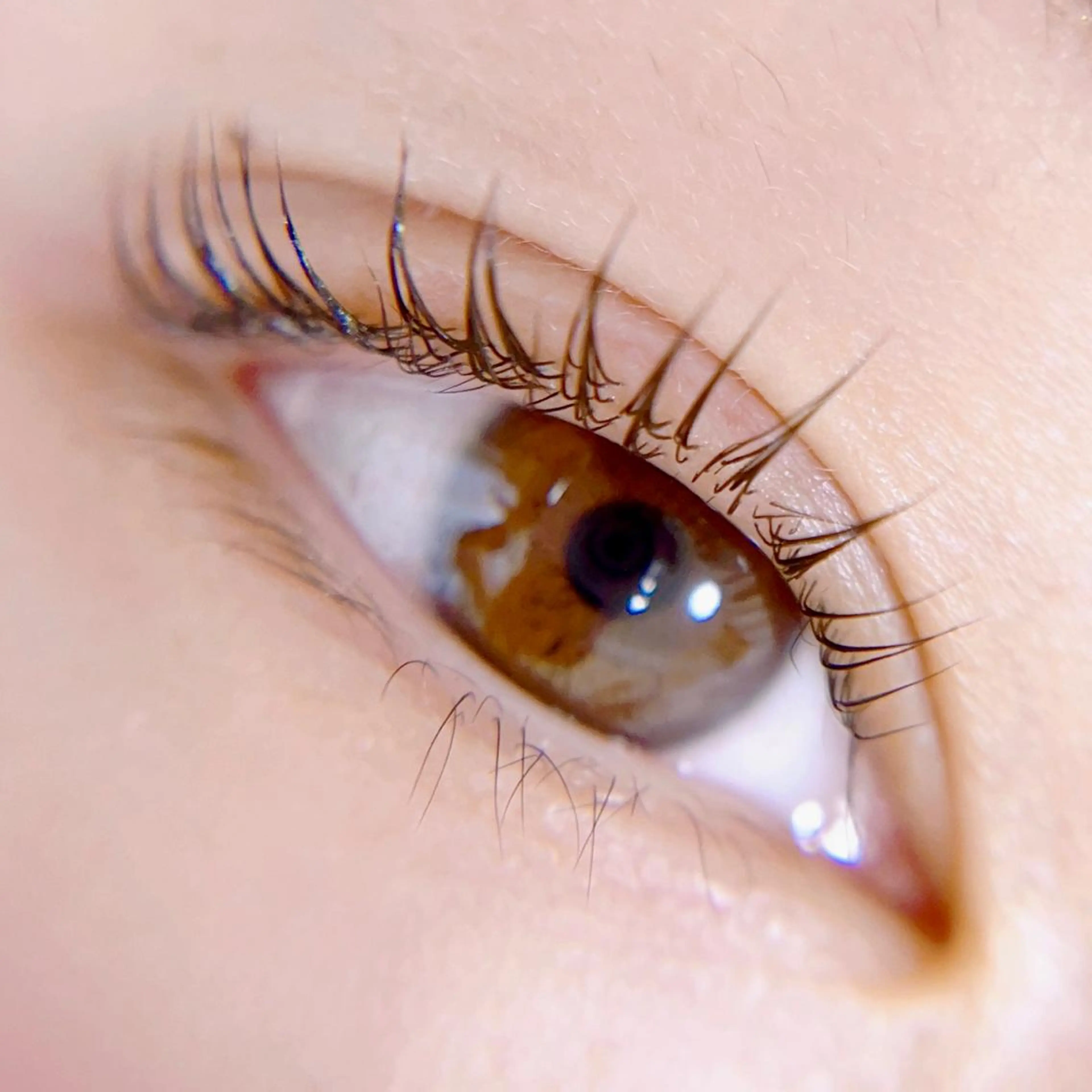 マツエク・マツパ マツパ Leola ERIKAのマツエク・マツパデザイン