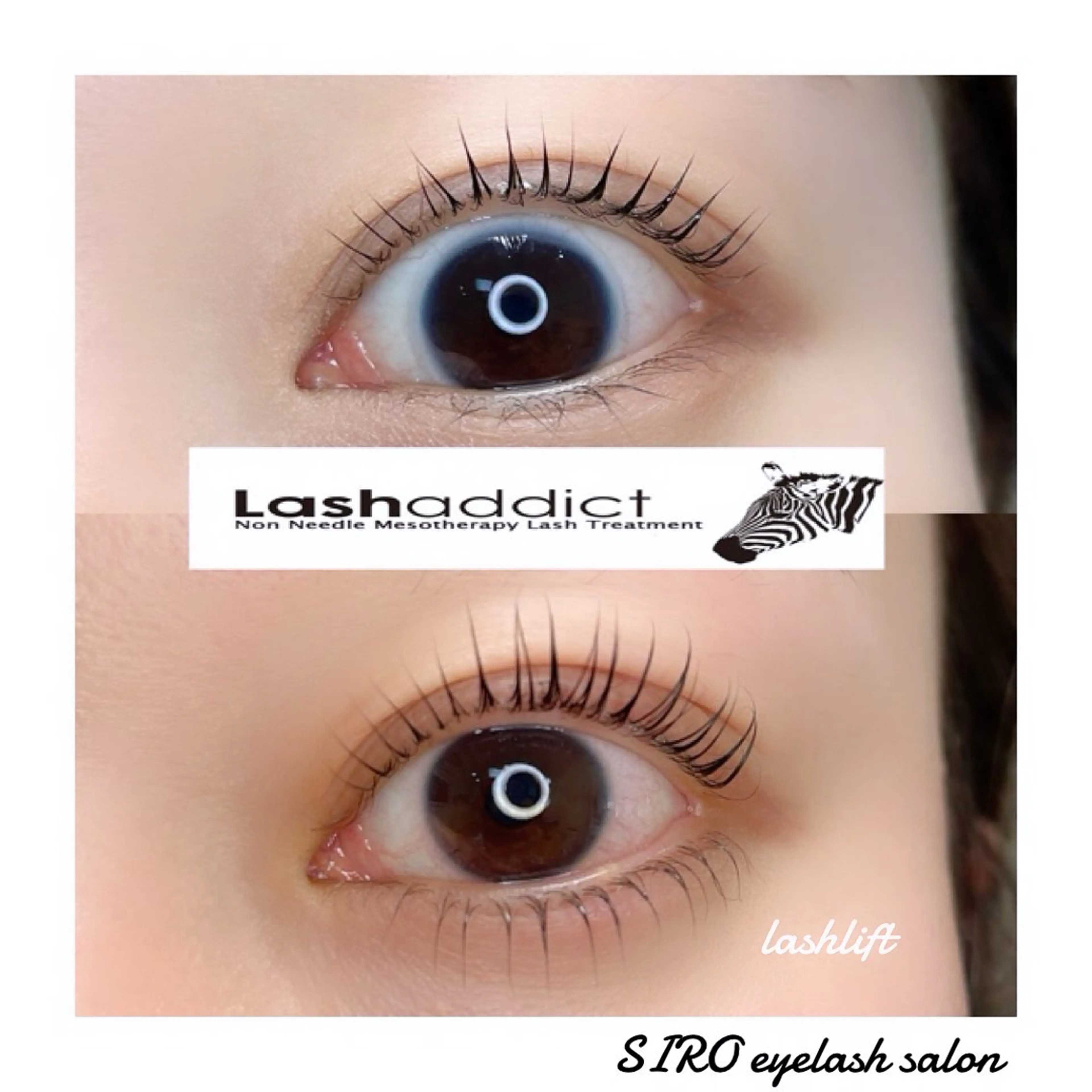 マツエク・マツパ SIRO🦋/ 尾立桜子のマツエク・マツパデザイン