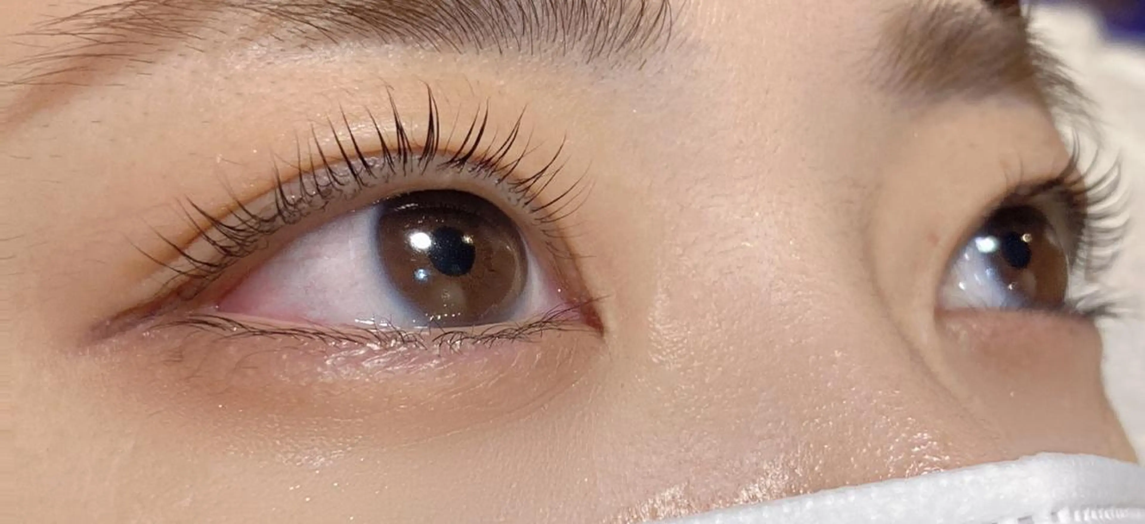 マツエク・マツパ ケラチンラッシュリフト ナチュラル .ula 𝑨𝒚𝒂𝒌𝒂のマツエク・マツパデザイン