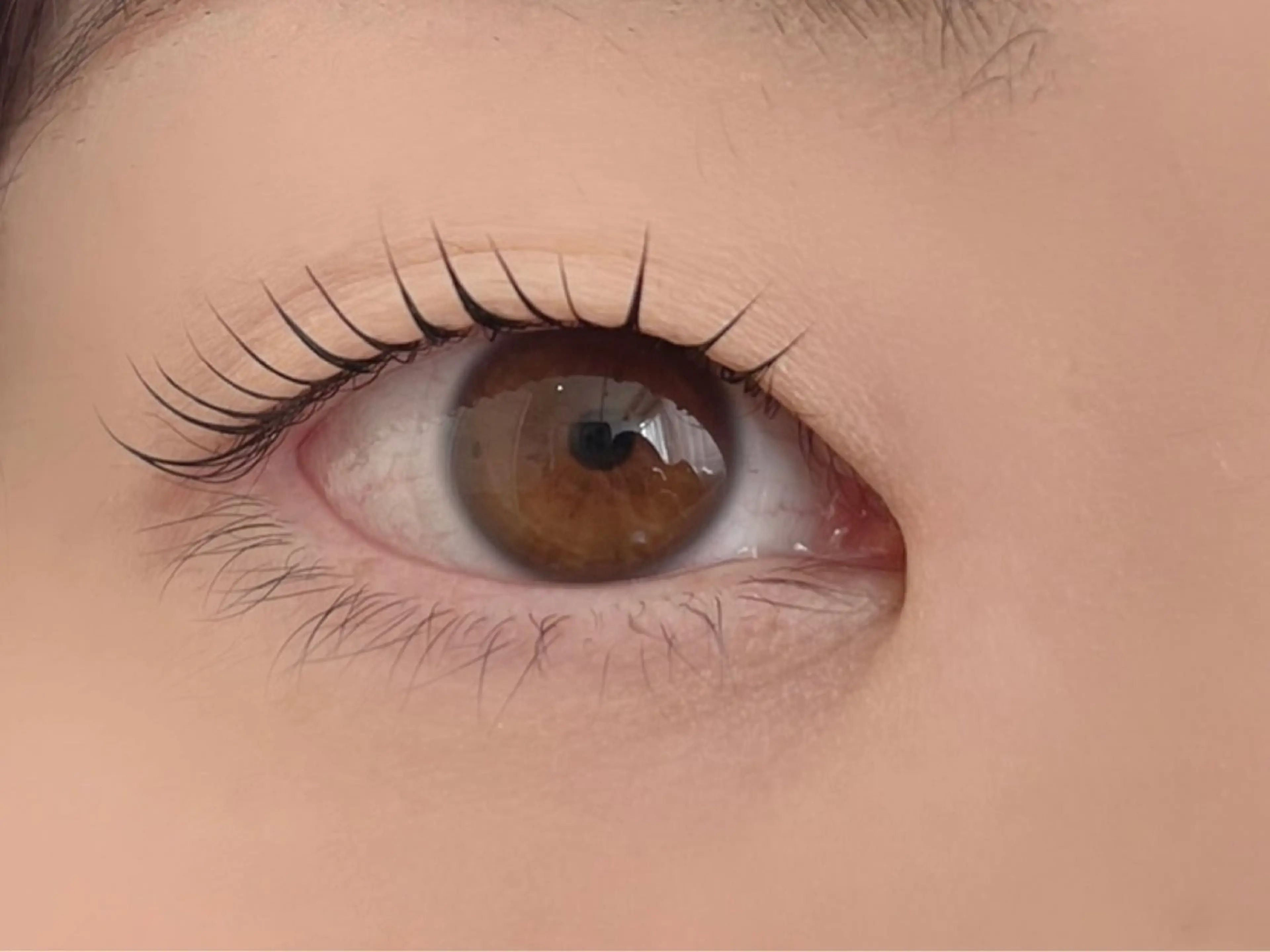 マツエク・マツパ 山脇🐋🤍 アンジェリカ錦糸町のマツエク・マツパデザイン