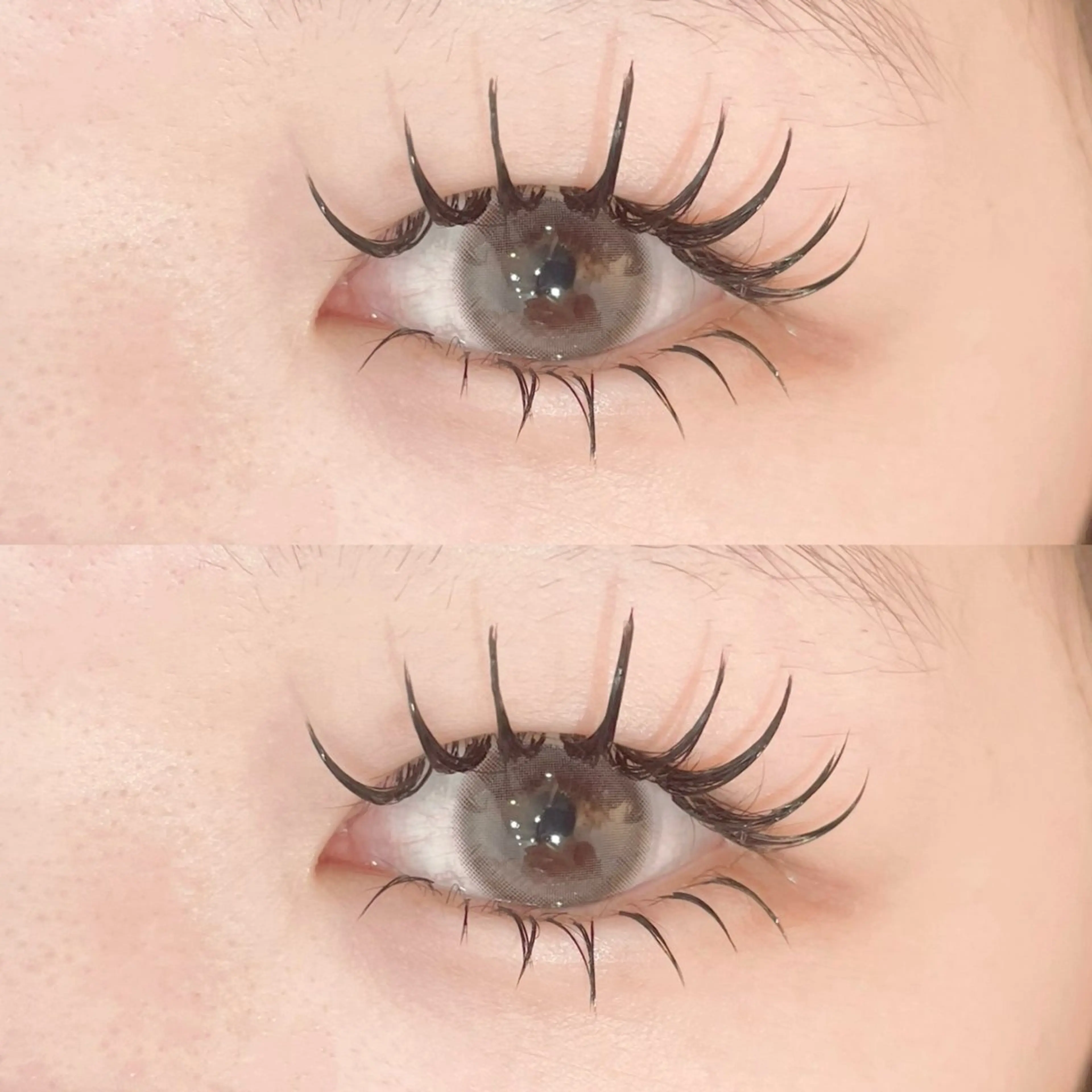 【ご新規様】　バインドロック８０束✖️下バインド３０束（ご新規様オフ無料）カラー変更（＋¥800）の写真