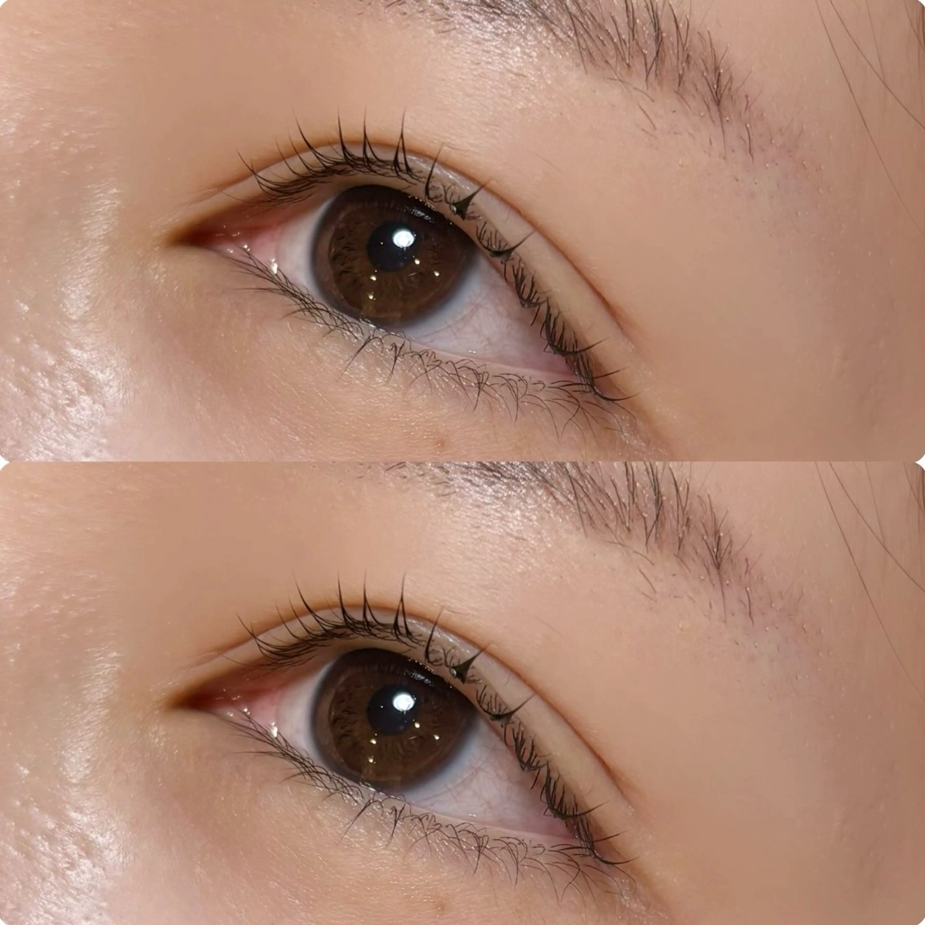 マツエク・マツパ meguru／マツパ ／マツエク／束感のマツエク・マツパデザイン