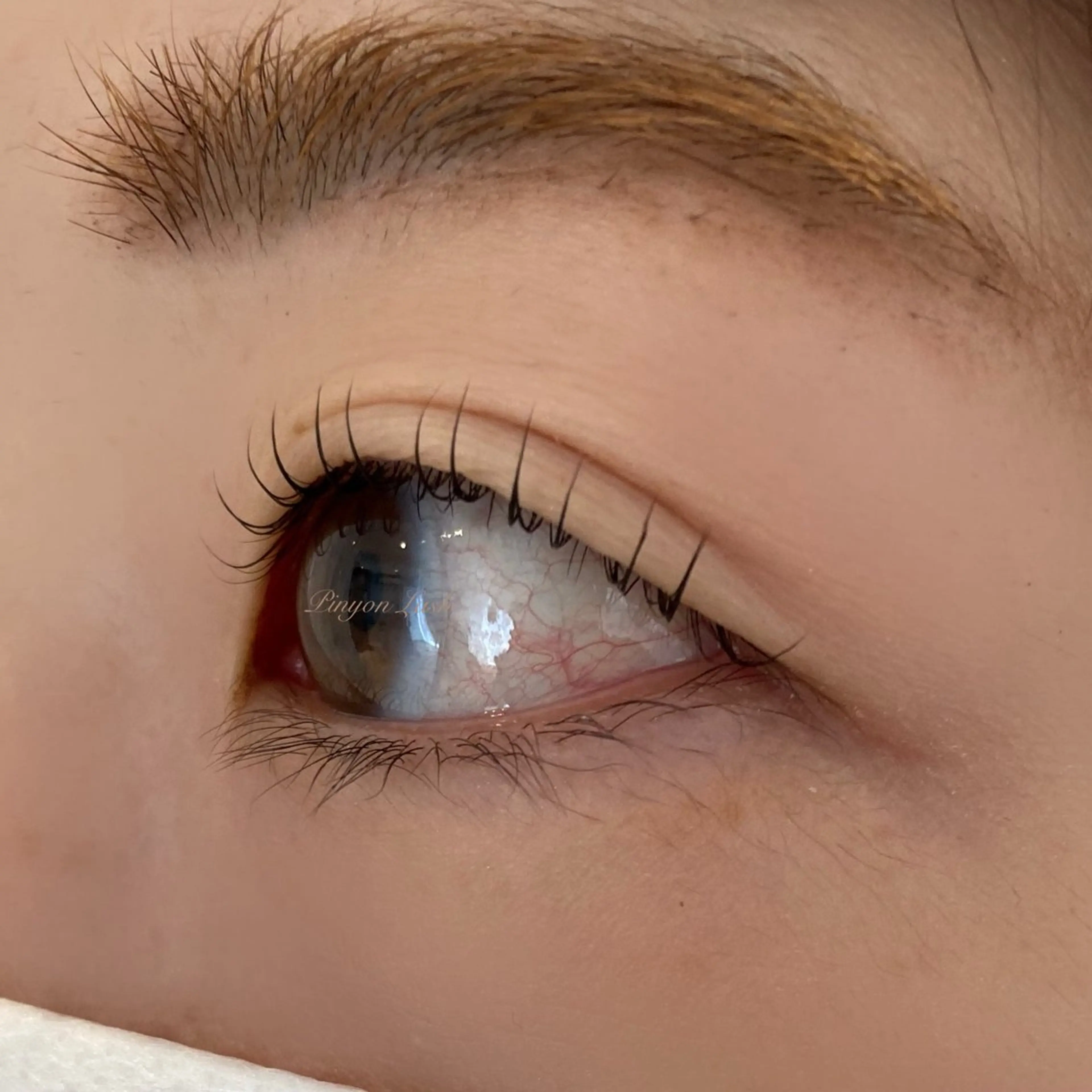 マツエク・マツパ ピニョン ラッシュのマツエク・マツパデザイン