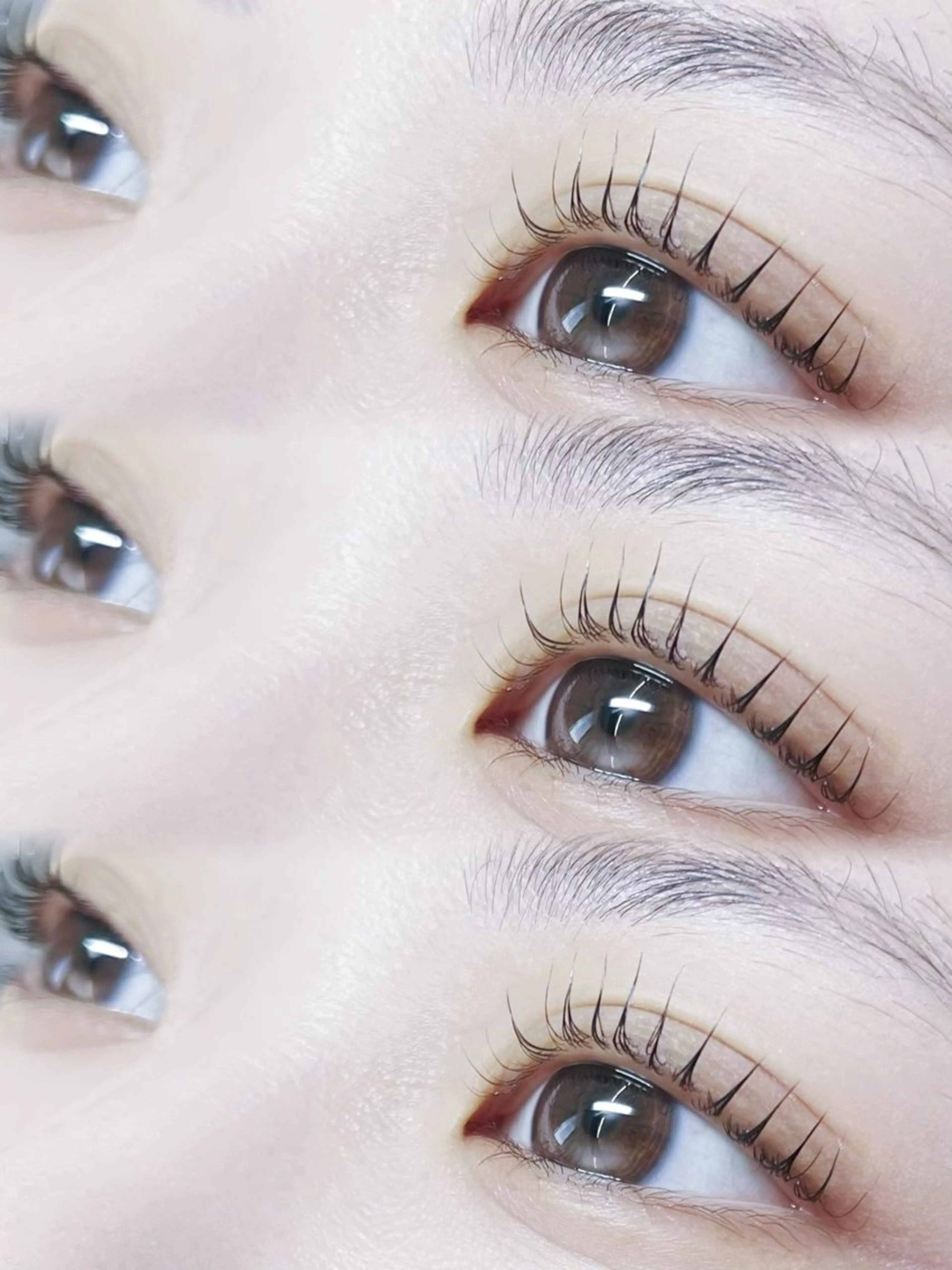 🤍12月ミニモ限定🤍韓国風まつ毛パーマ+ブラックティントセットの写真