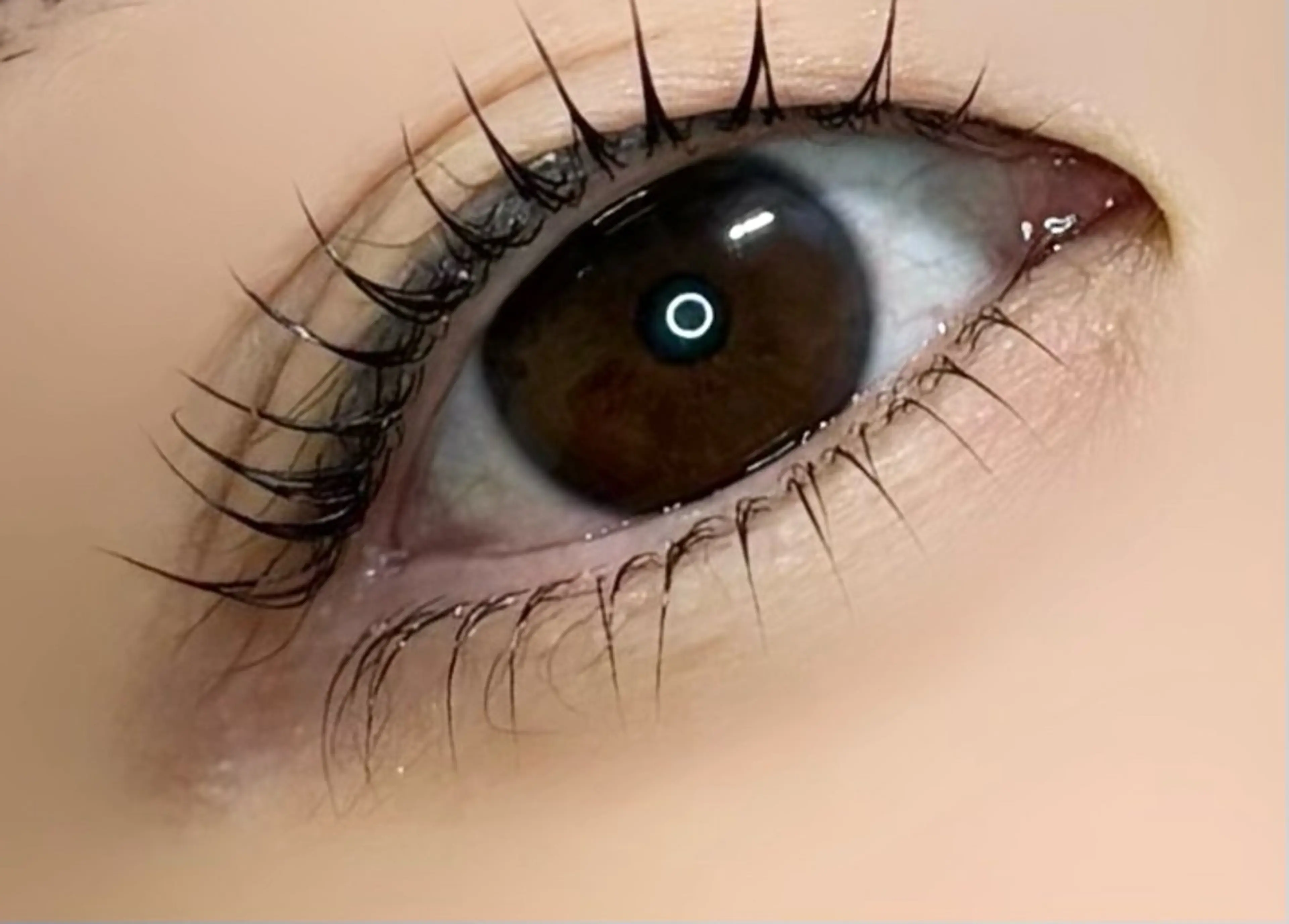 下まつ毛パーマ　4000円の写真