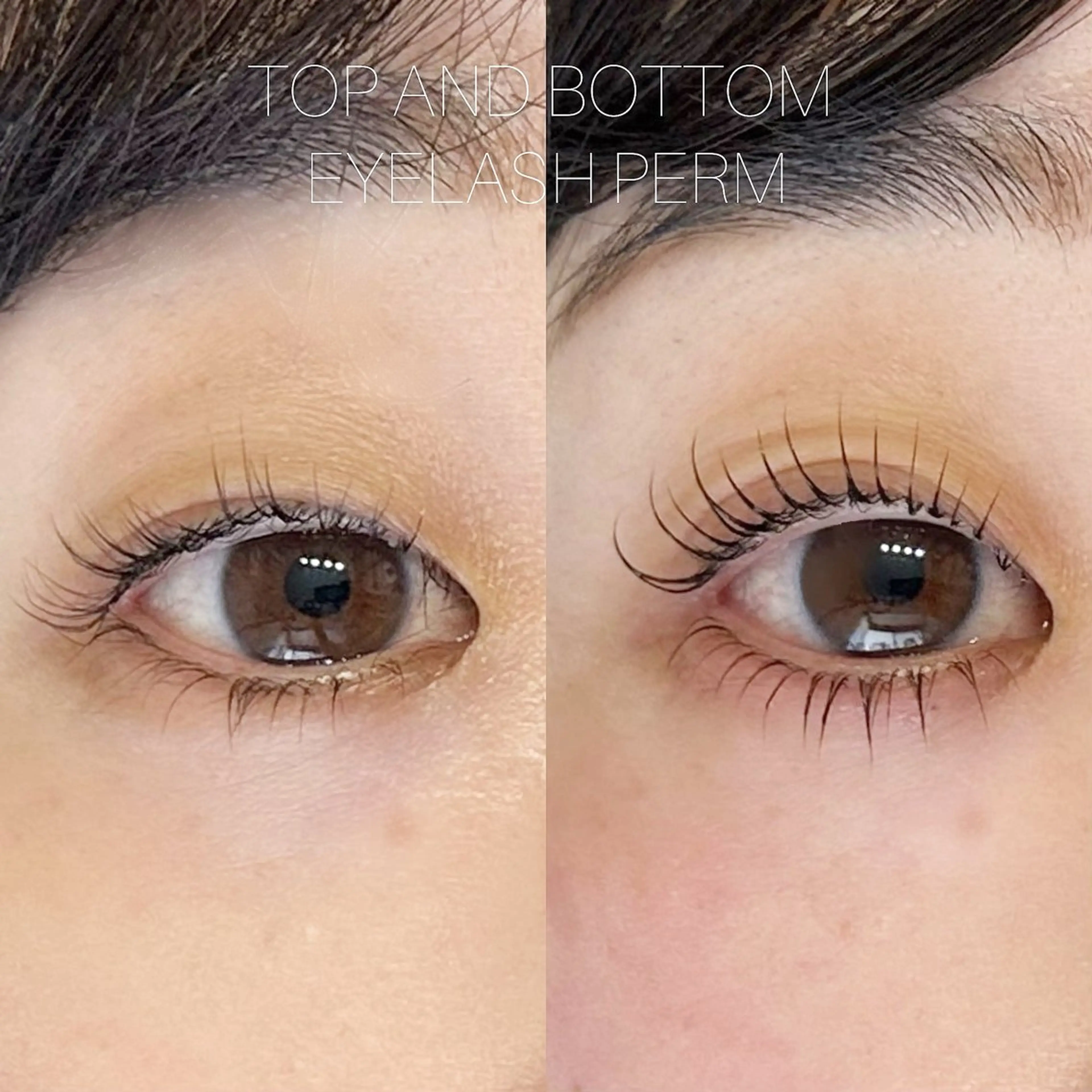 マツエク・マツパ LAND【ランド】 小鹿のマツエク・マツパデザイン