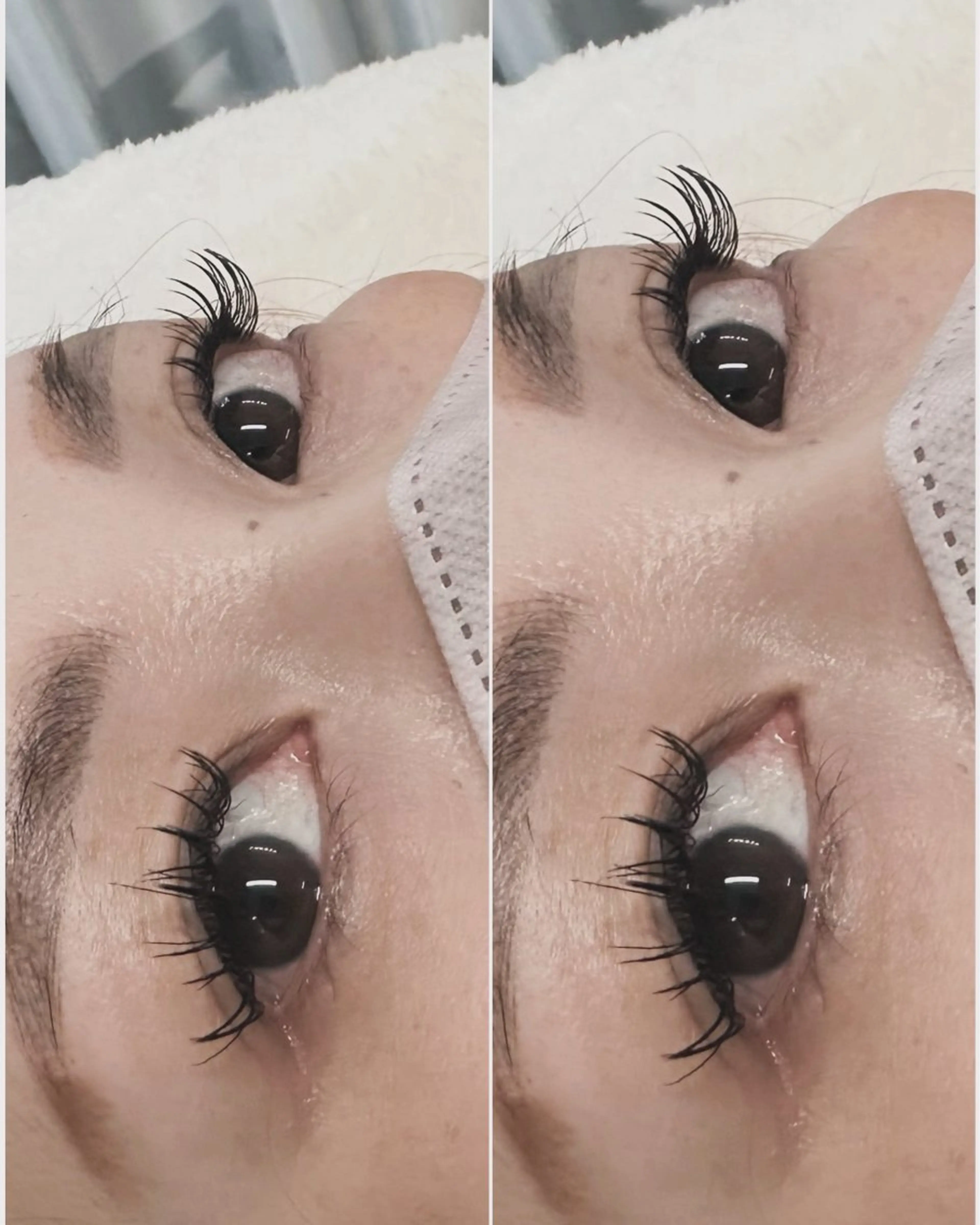 マツエク・マツパ ネモア久留米店 🌼AYUMI🌼のマツエク・マツパデザイン