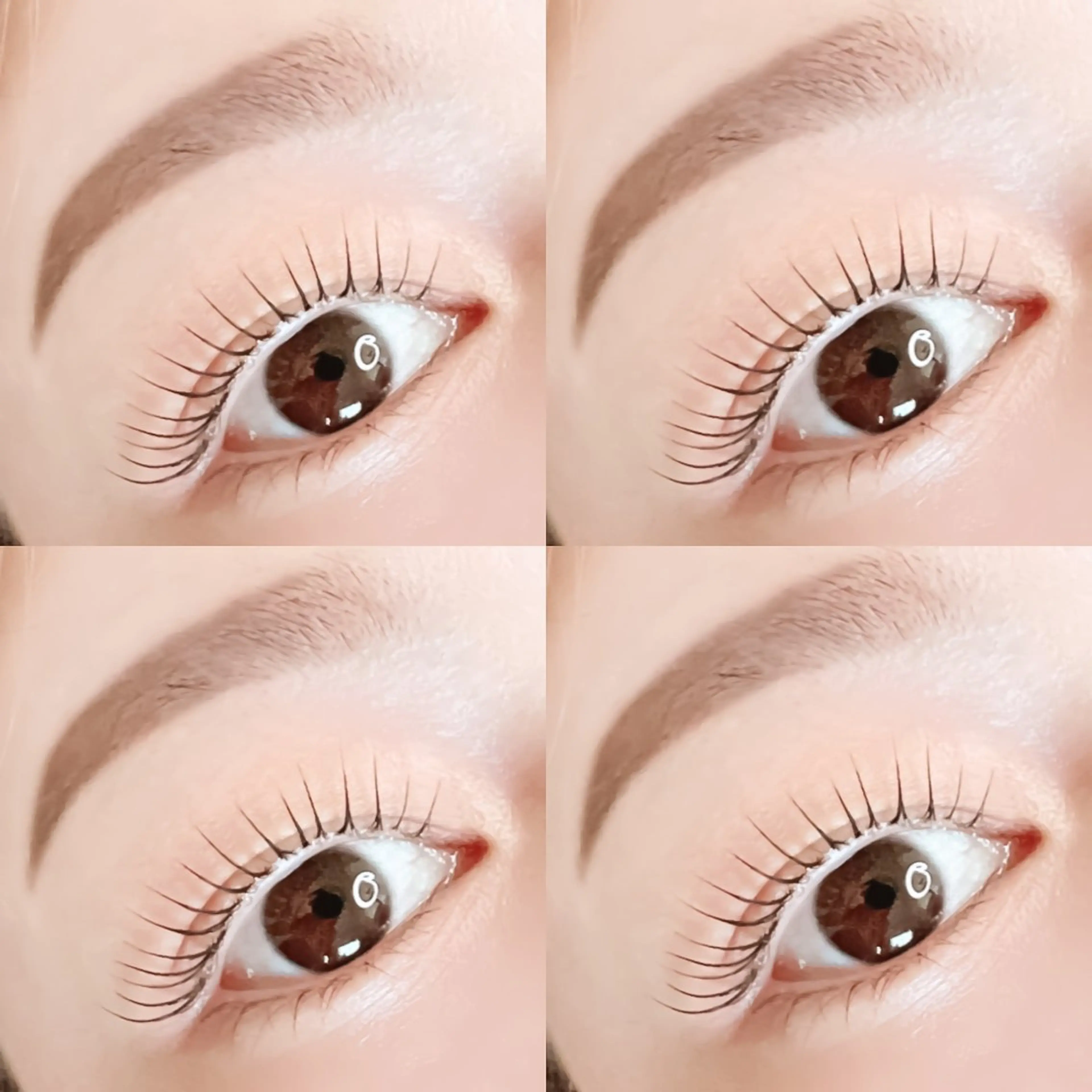 マツエク・マツパ パリジェンヌラッシュリフト マツパ miho【吉祥寺】 ★プライベートサロンのマツエク・マツパデザイン