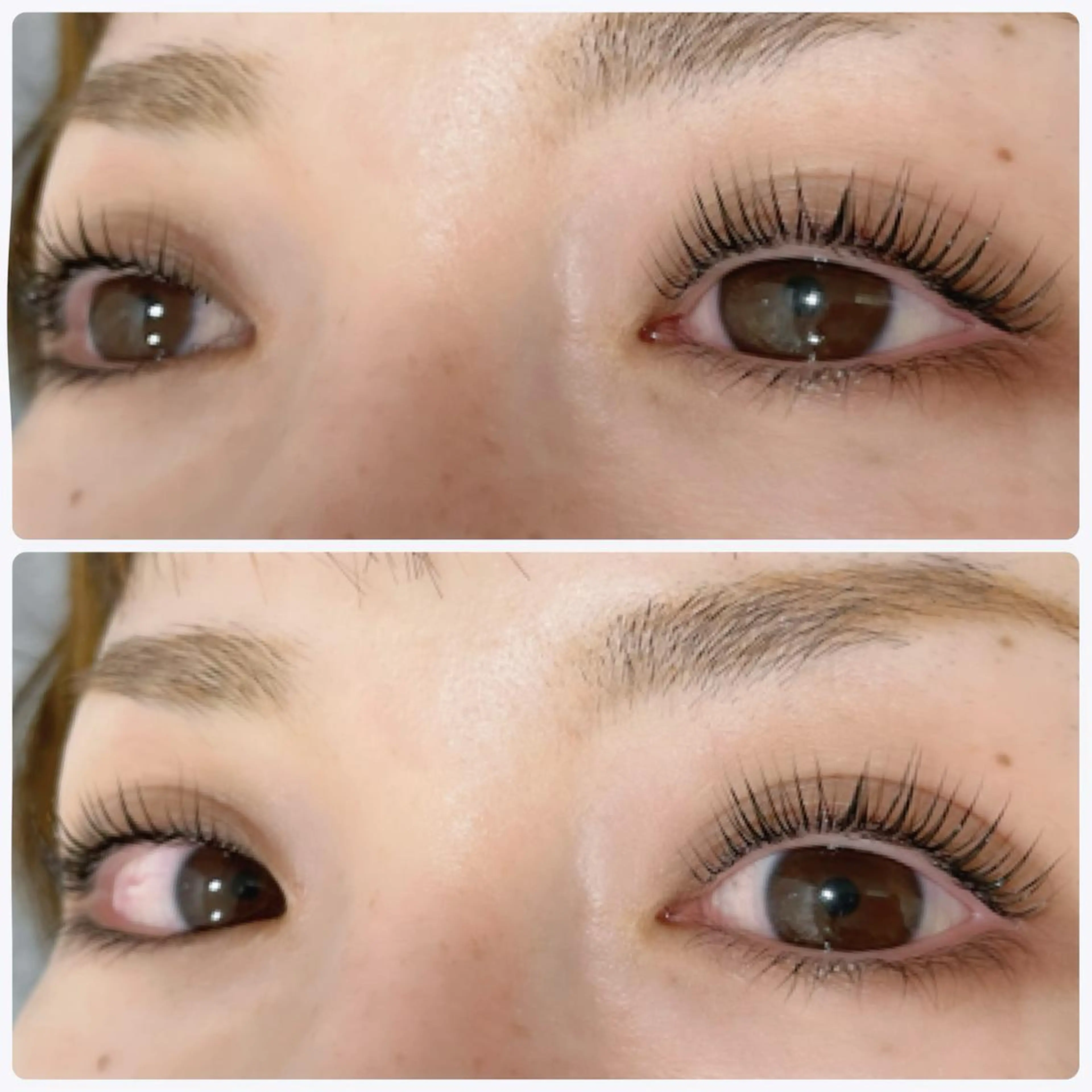 マツエク・マツパ マツパ ELLA 菊地のマツエク・マツパデザイン