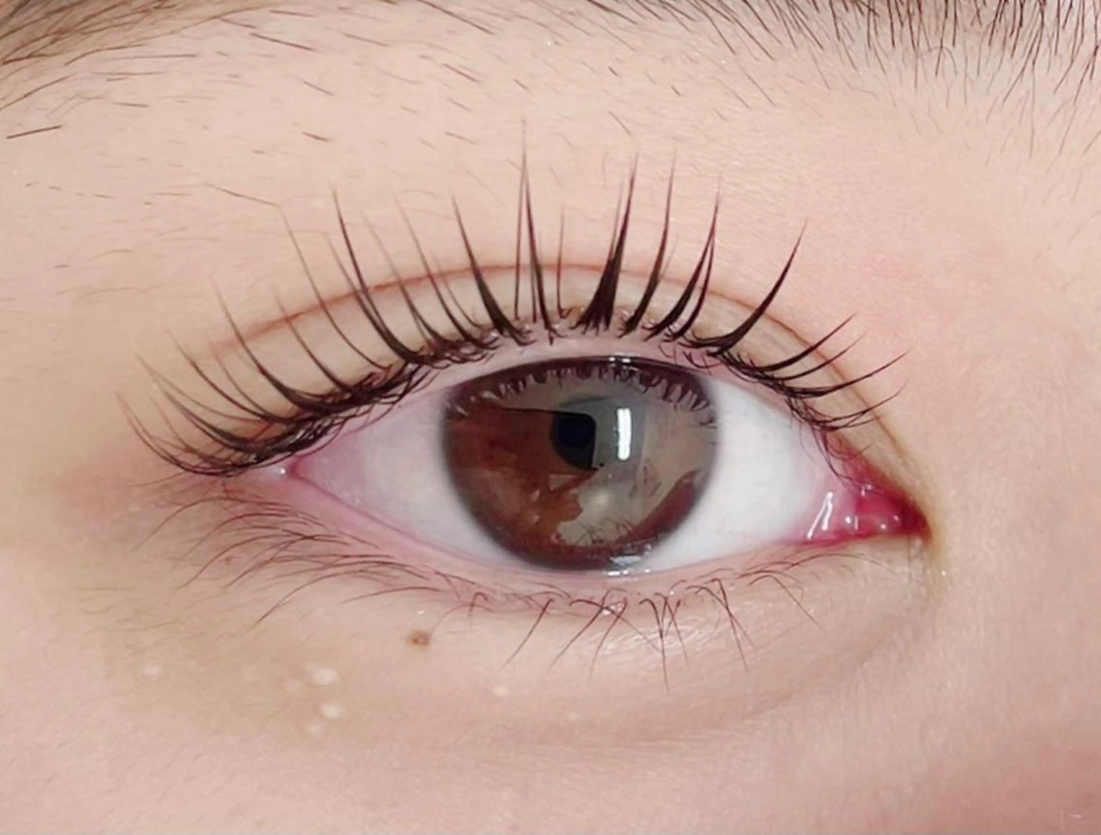 マツエク・マツパ マツパ eminy lash 【エミニーラッシュ】のマツエク・マツパデザイン