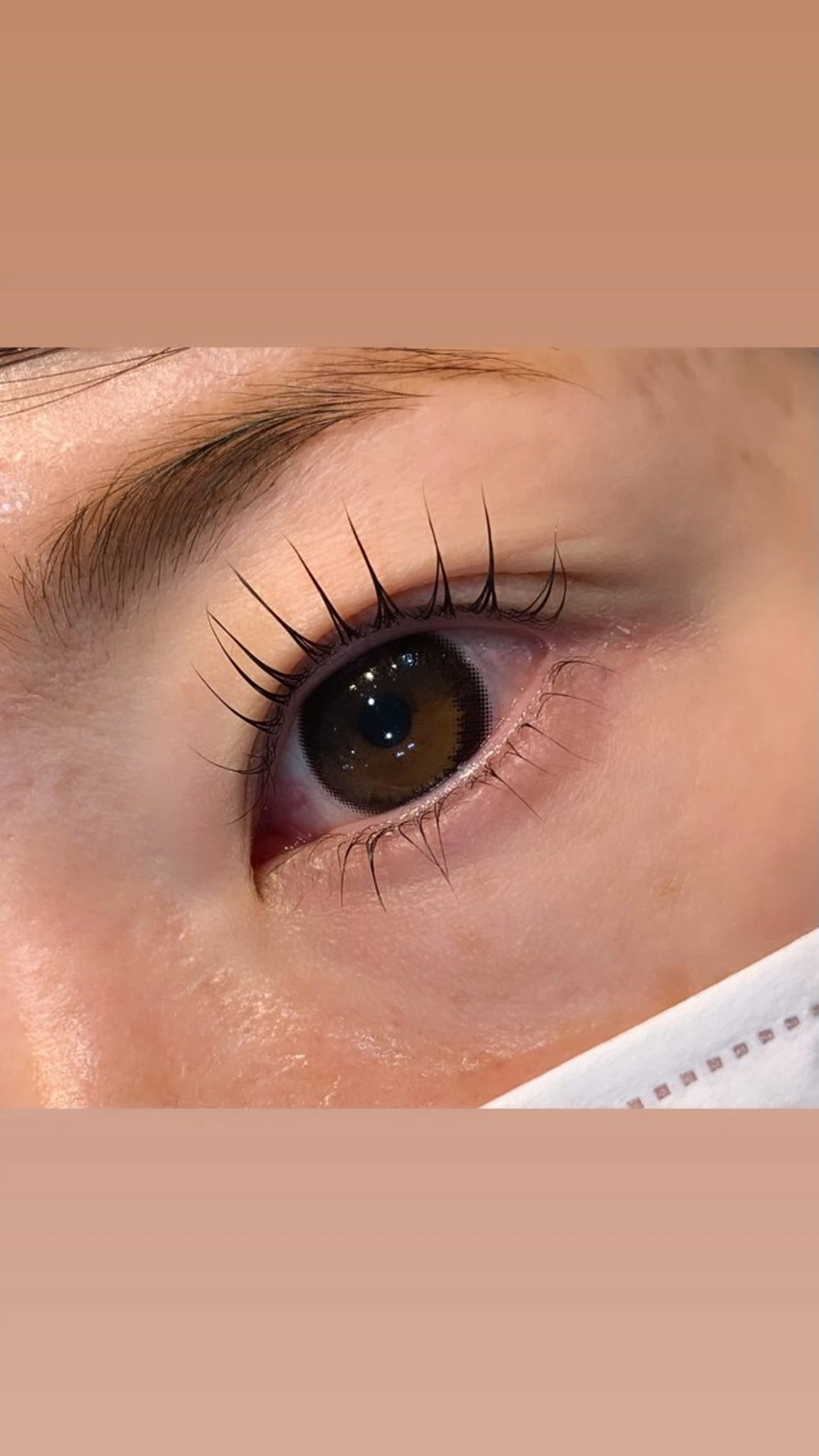 マツエク・マツパ パリジェンヌラッシュリフト hirakawa makoの眉毛・アイブロウイメージ