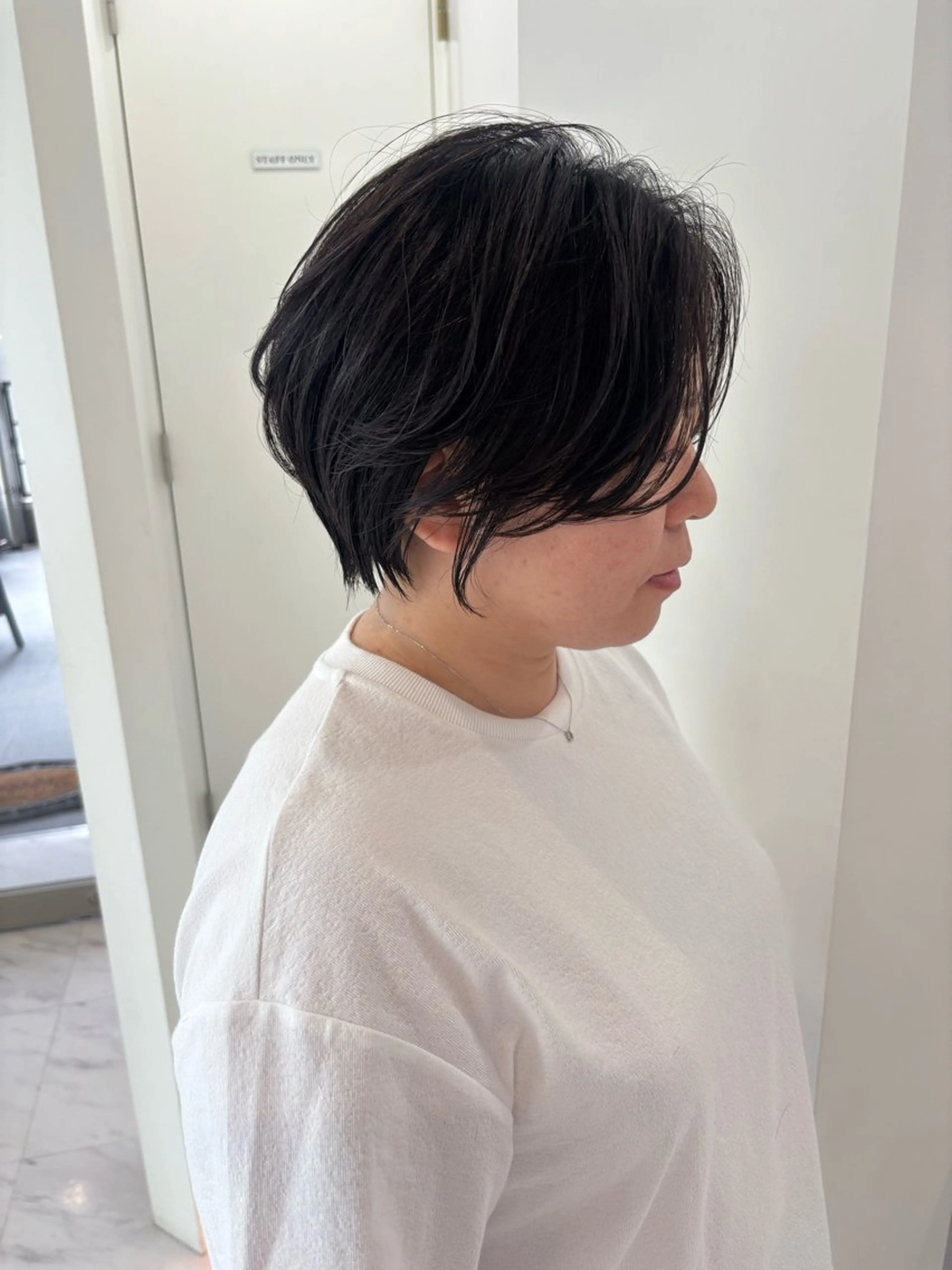 ショート ハンサムショート ショートヘア カット トリートメント 🌟TOSHI/透明 感カラー/ショートのヘアスタイル