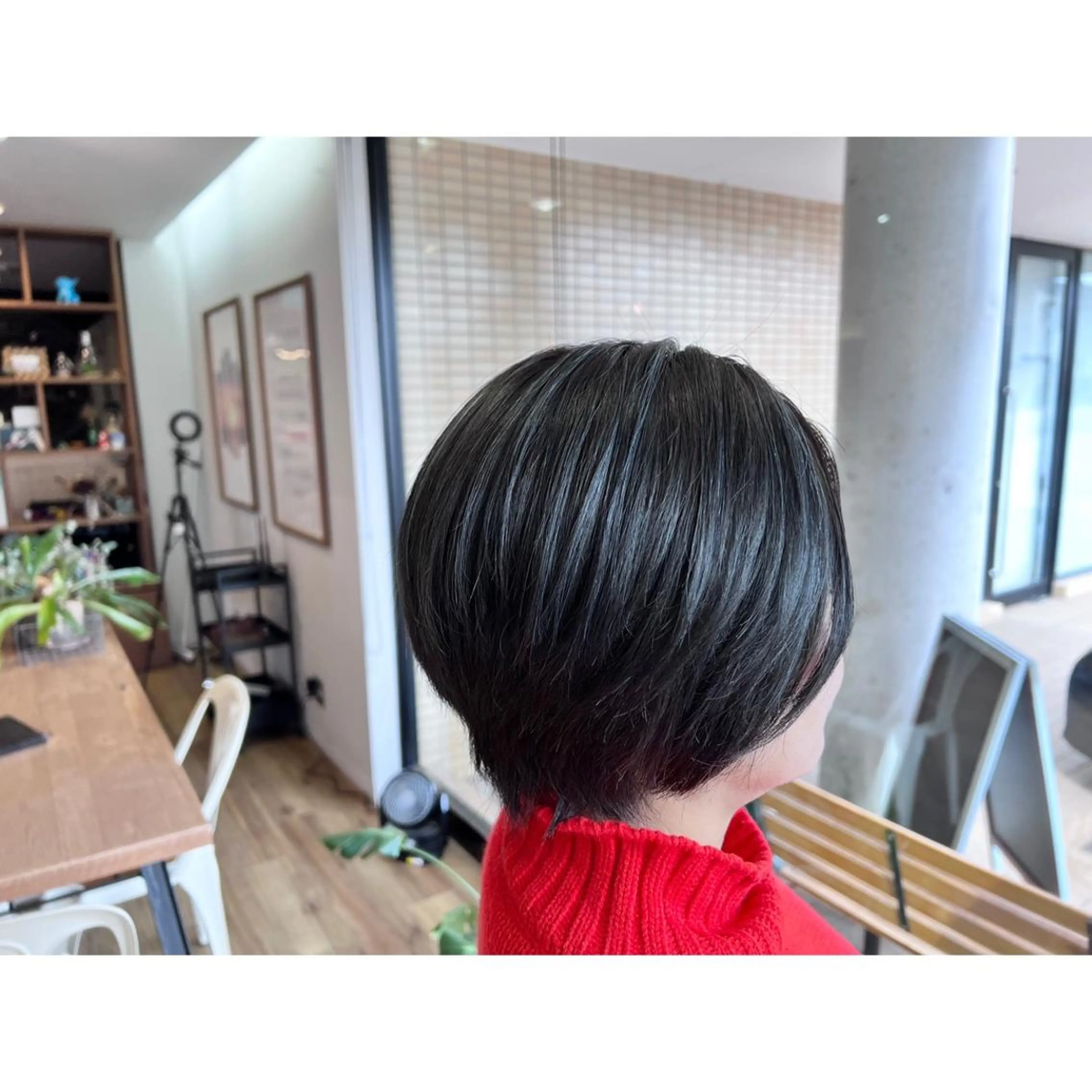 ショート カラー アッシュ ハイライトカラー ハイライト ヘアカラー トリートメント ツキダテ ユイのヘアスタイル