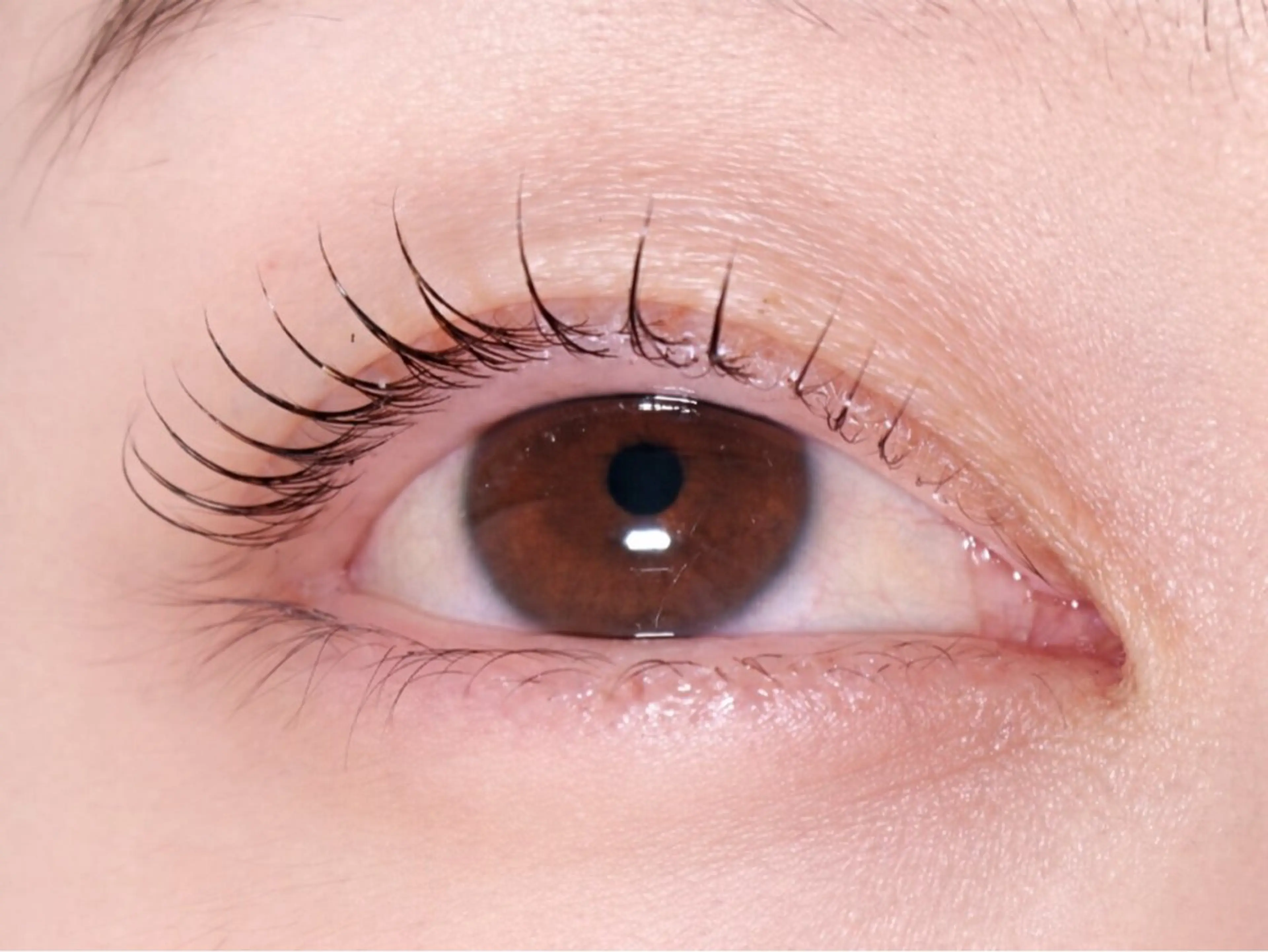 マツエク・マツパ Melia Chieのマツエク・マツパデザイン