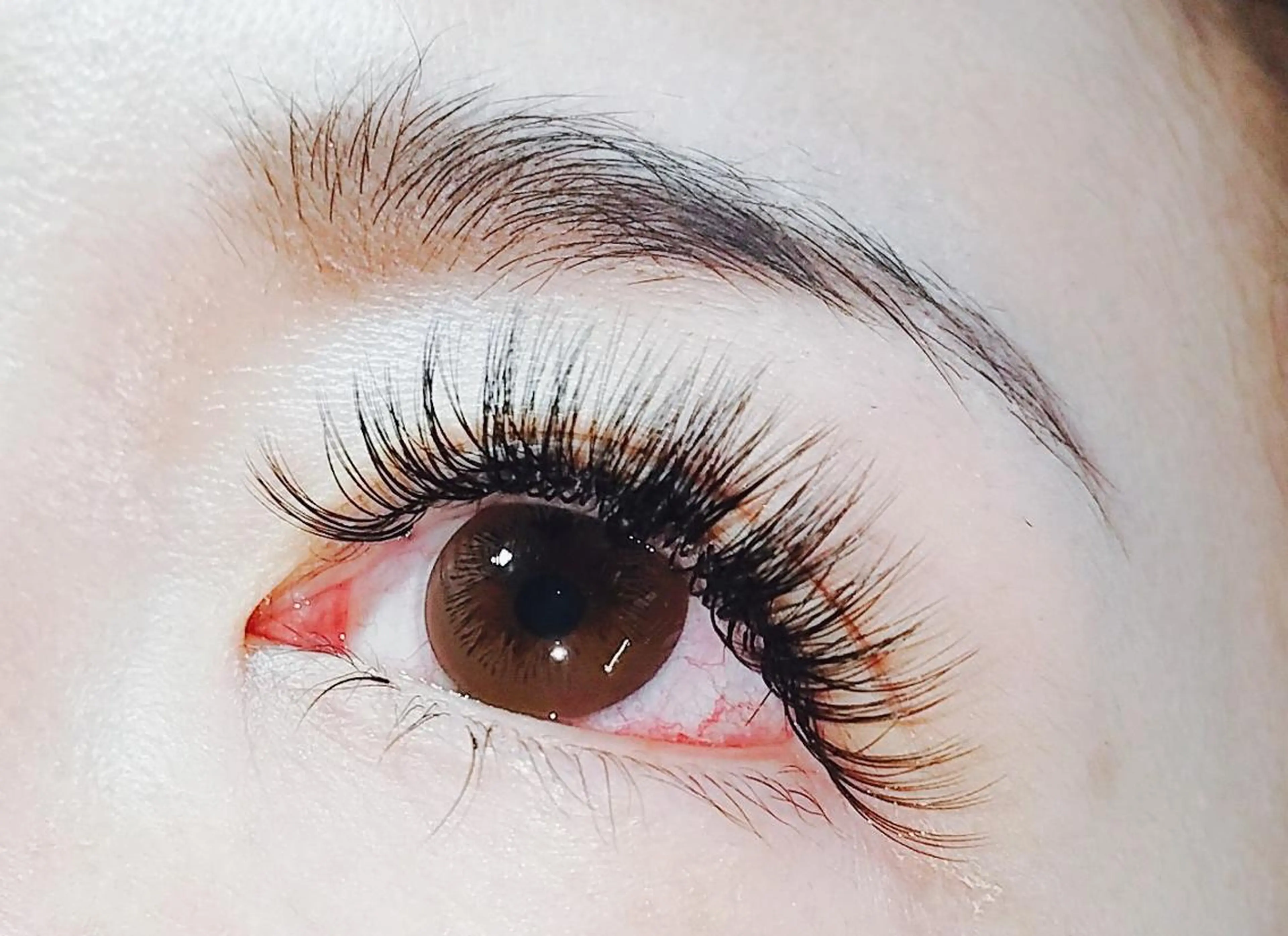 マツエク・マツパ ボリュームラッシュ Kalon Irisのマツエク・マツパデザイン