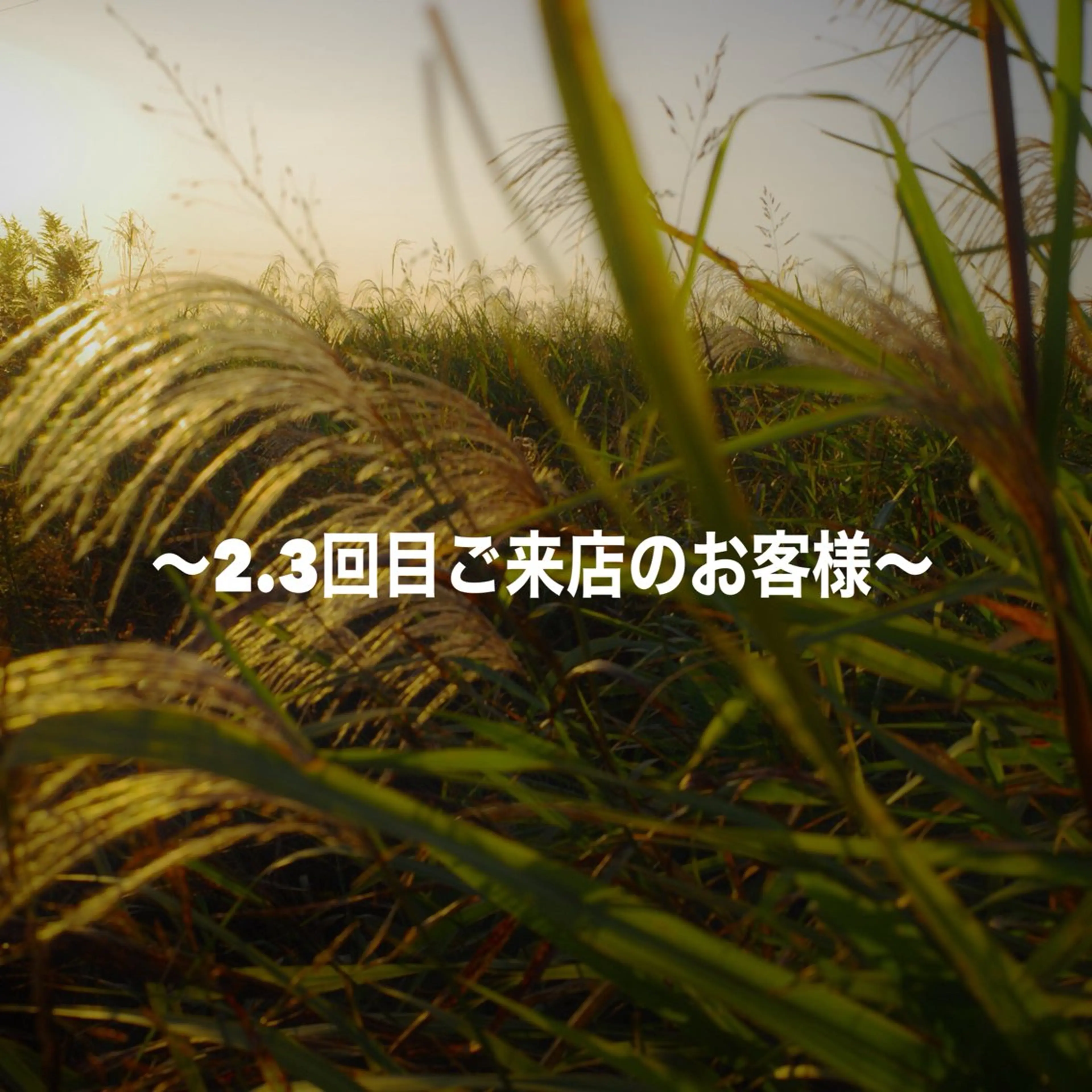 (ミニモ限定)🫧似合わせカット🫧の写真